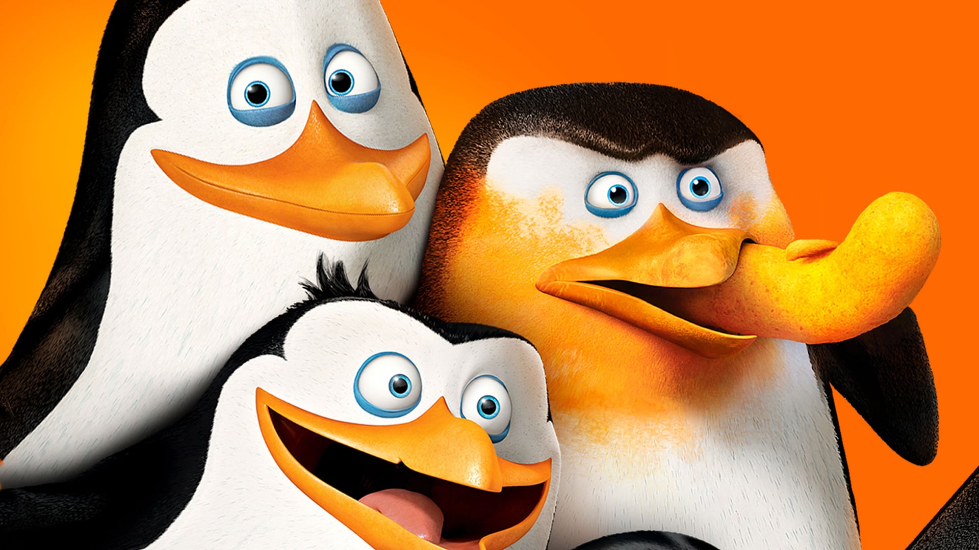 Foto do filme Os Pinguins de Madagascar: O Filme