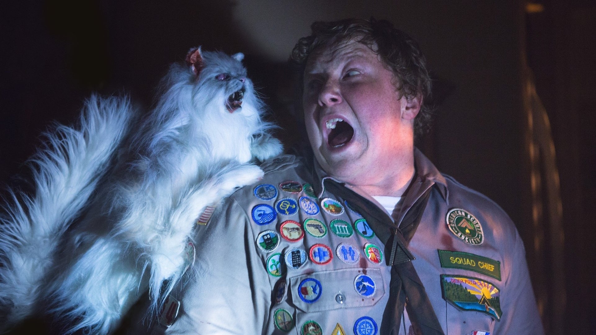 Foto do filme Como Sobreviver a um Ataque Zumbi