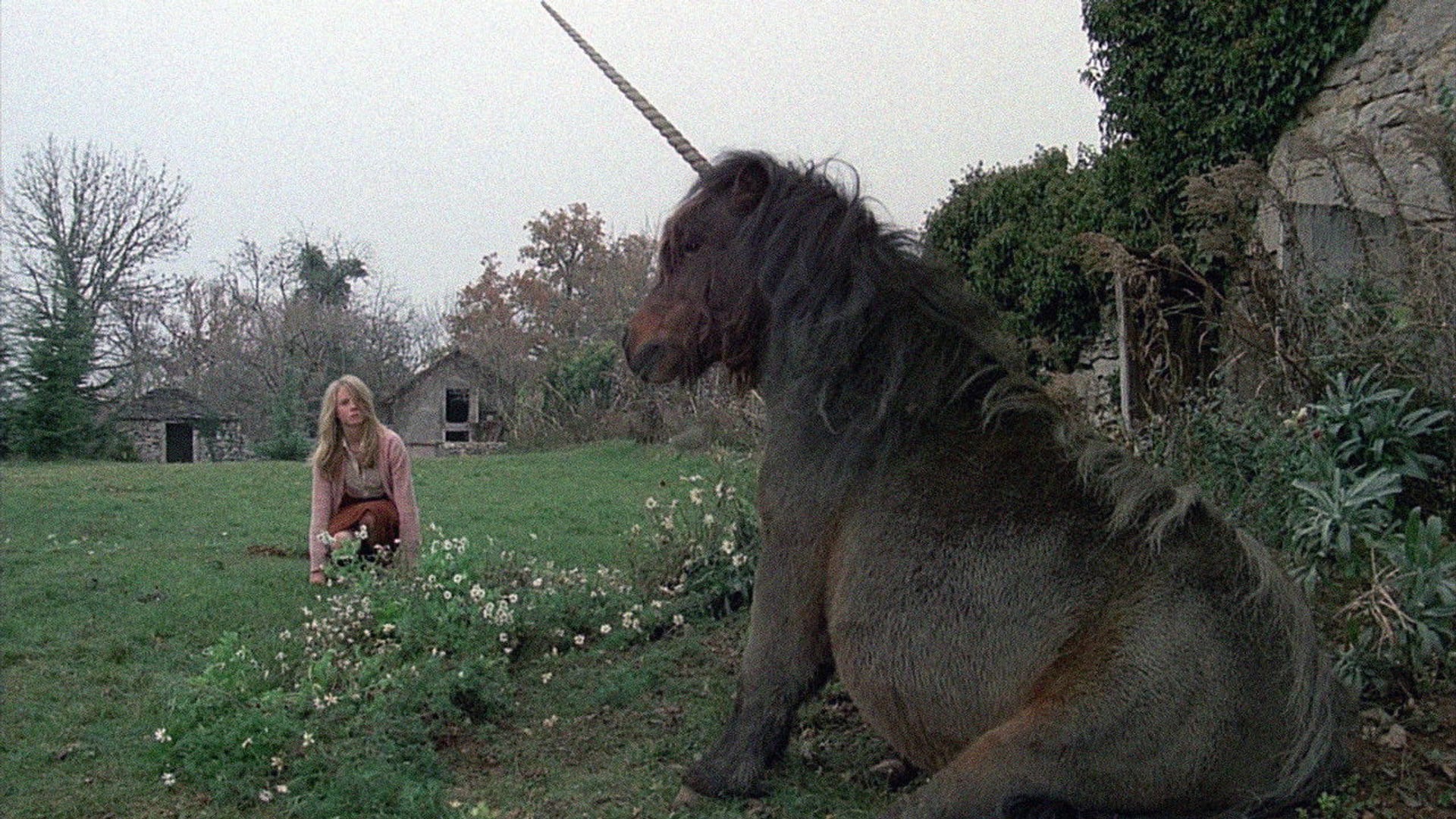 Foto do filme Lua Negra