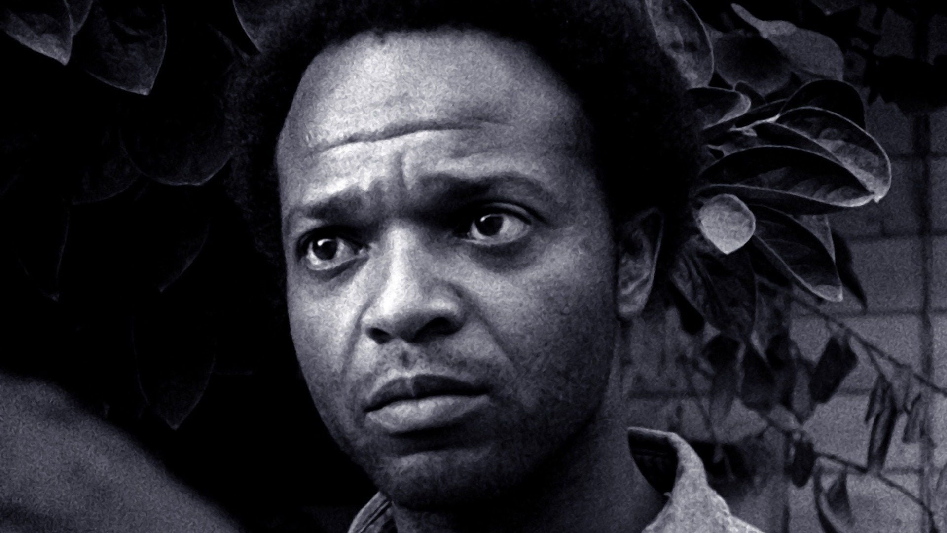 Foto do filme O Matador de Ovelhas