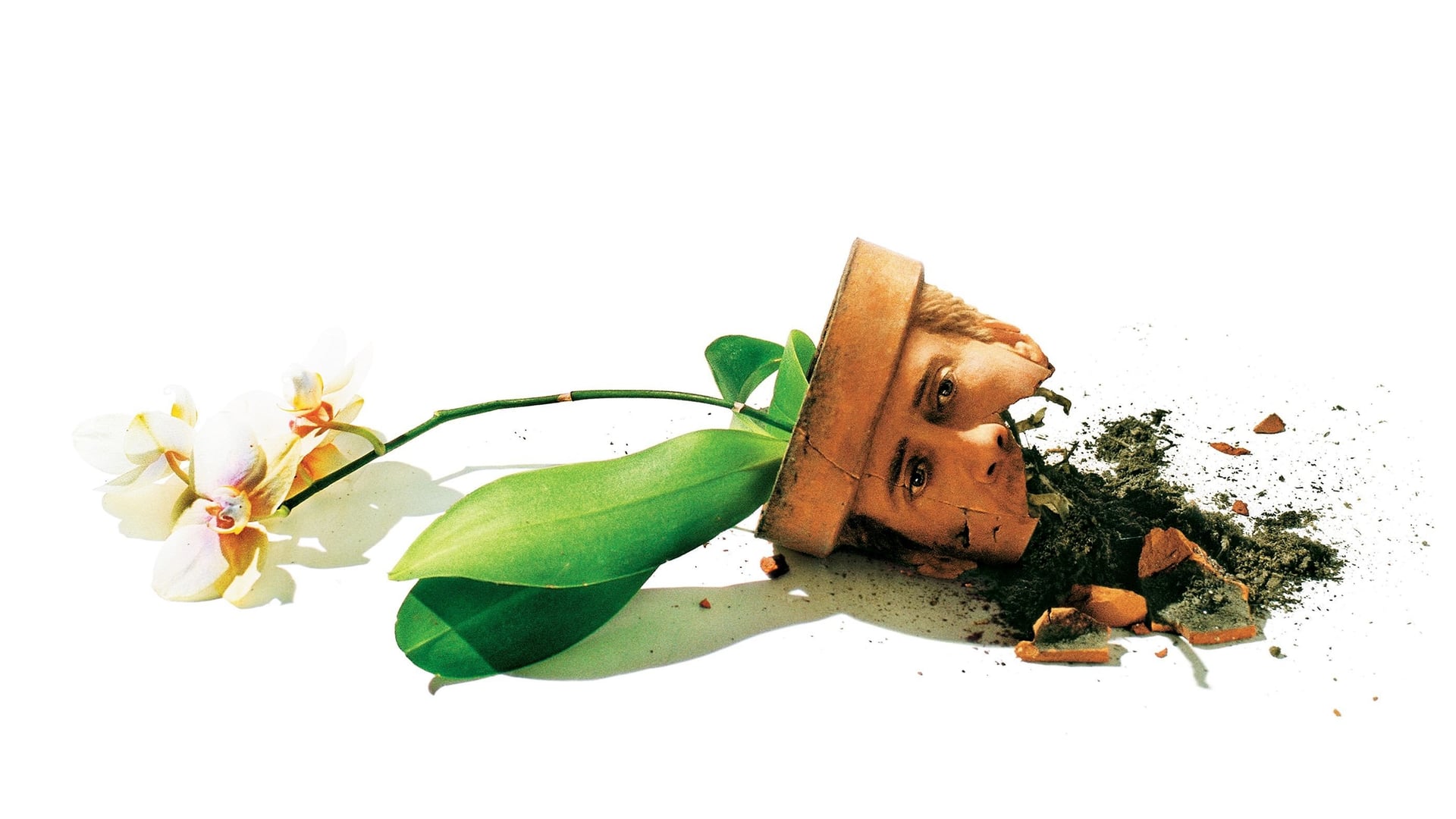 Foto do filme Adaptação.