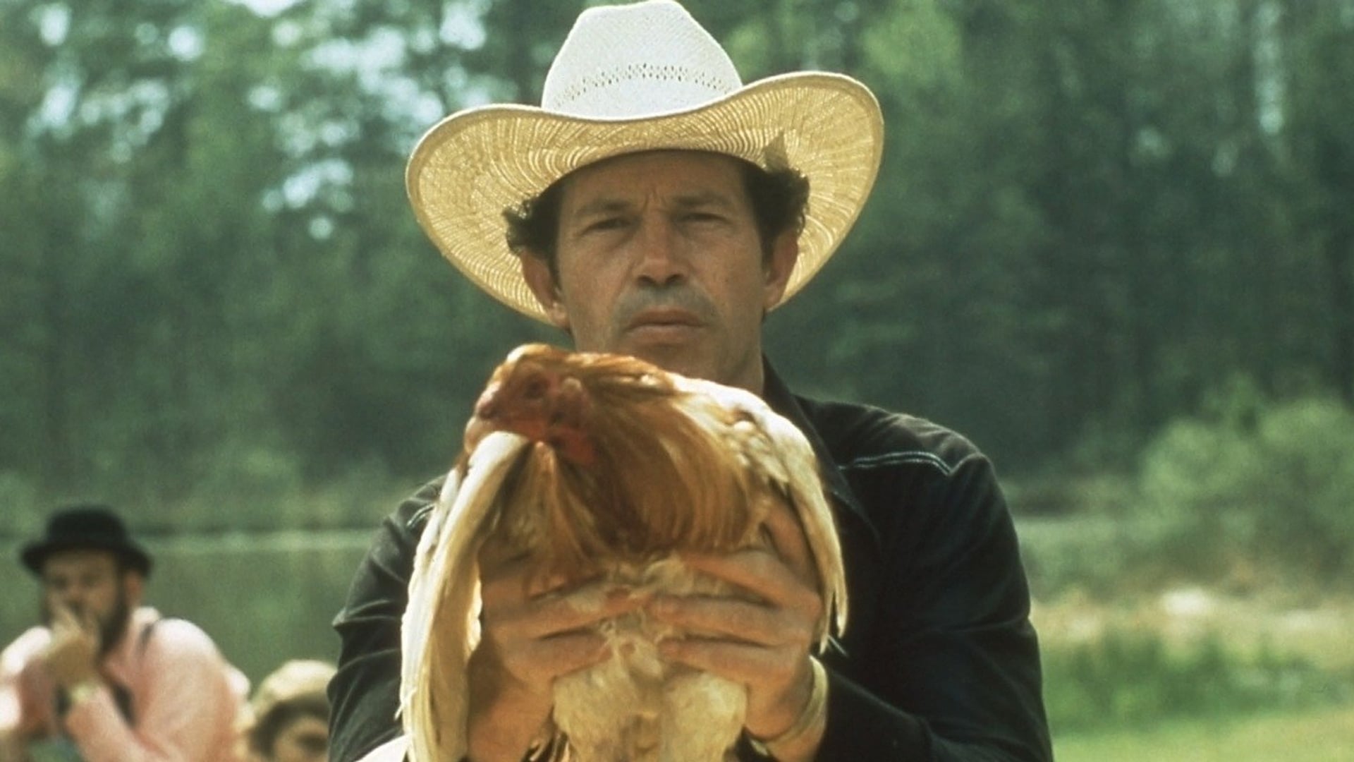 Foto do filme Galo de Briga