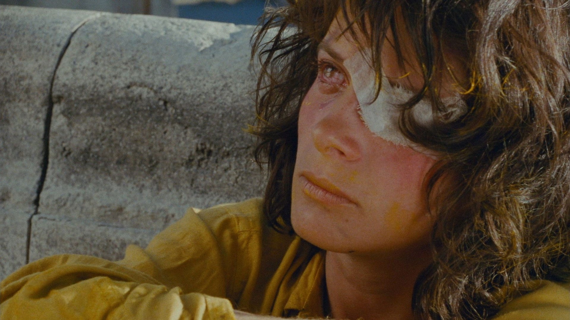 Foto do filme Os Amantes de Pont-Neuf