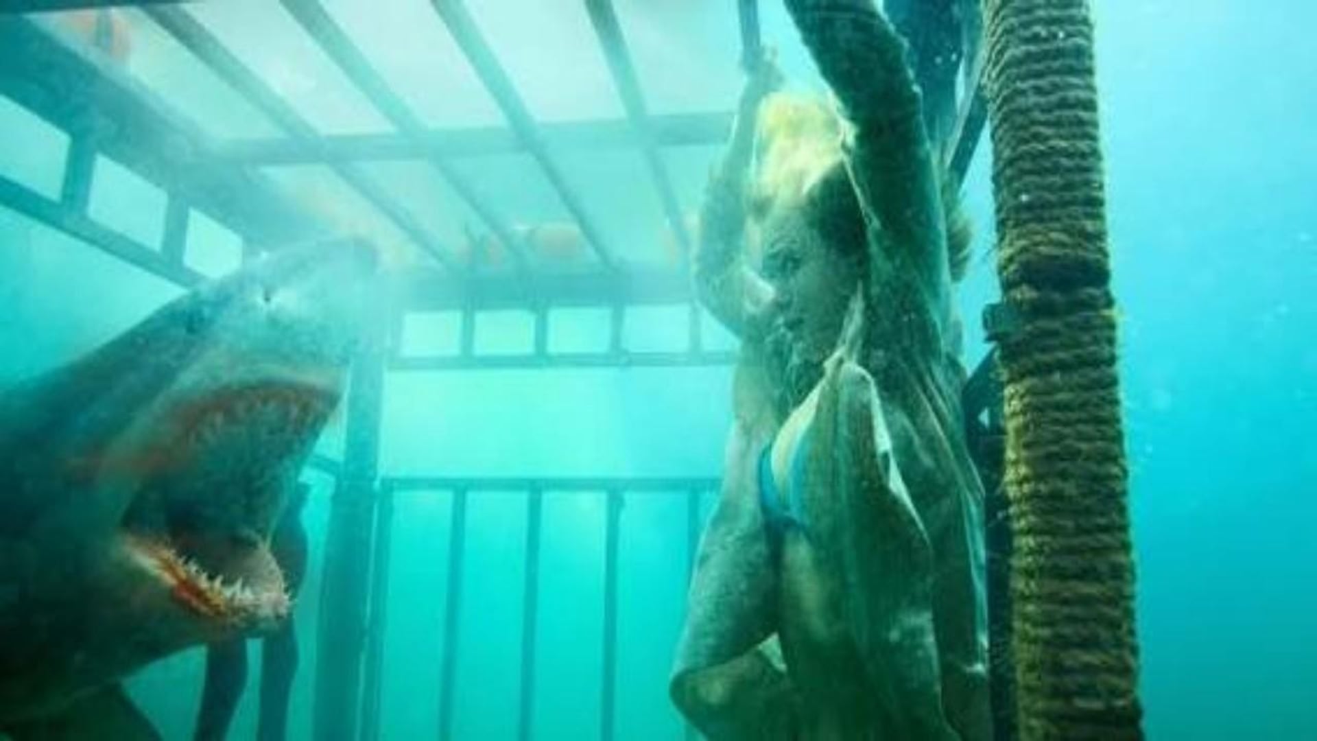 Foto do filme Tubarões Assassinos