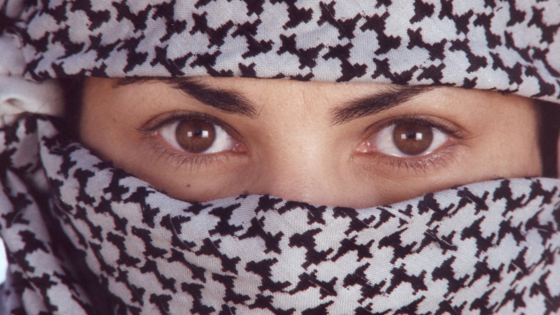 Foto do filme Intervenção Divina