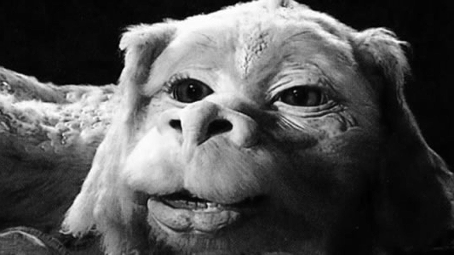 Foto do filme A História Sem Fim 3