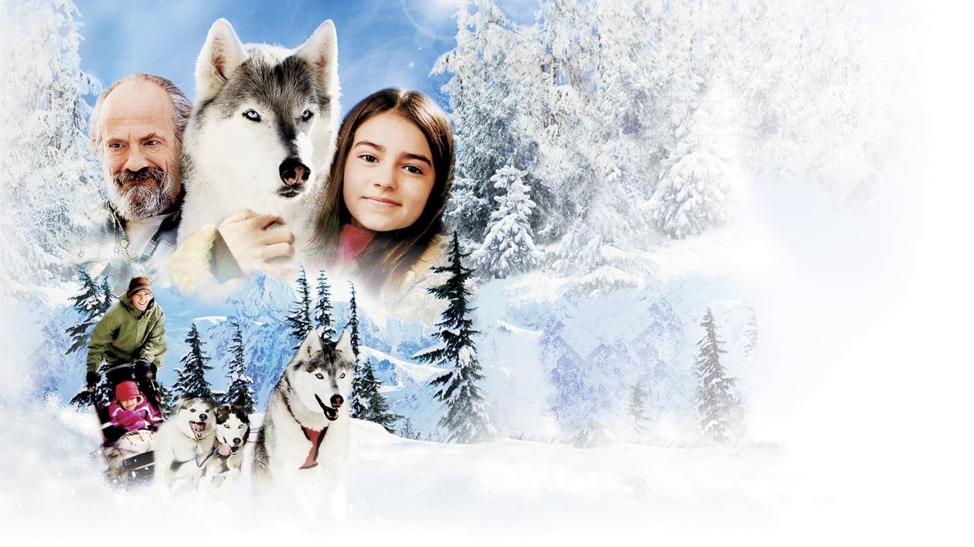 Foto do filme Buck: Meu Adorável Cão Selvagem