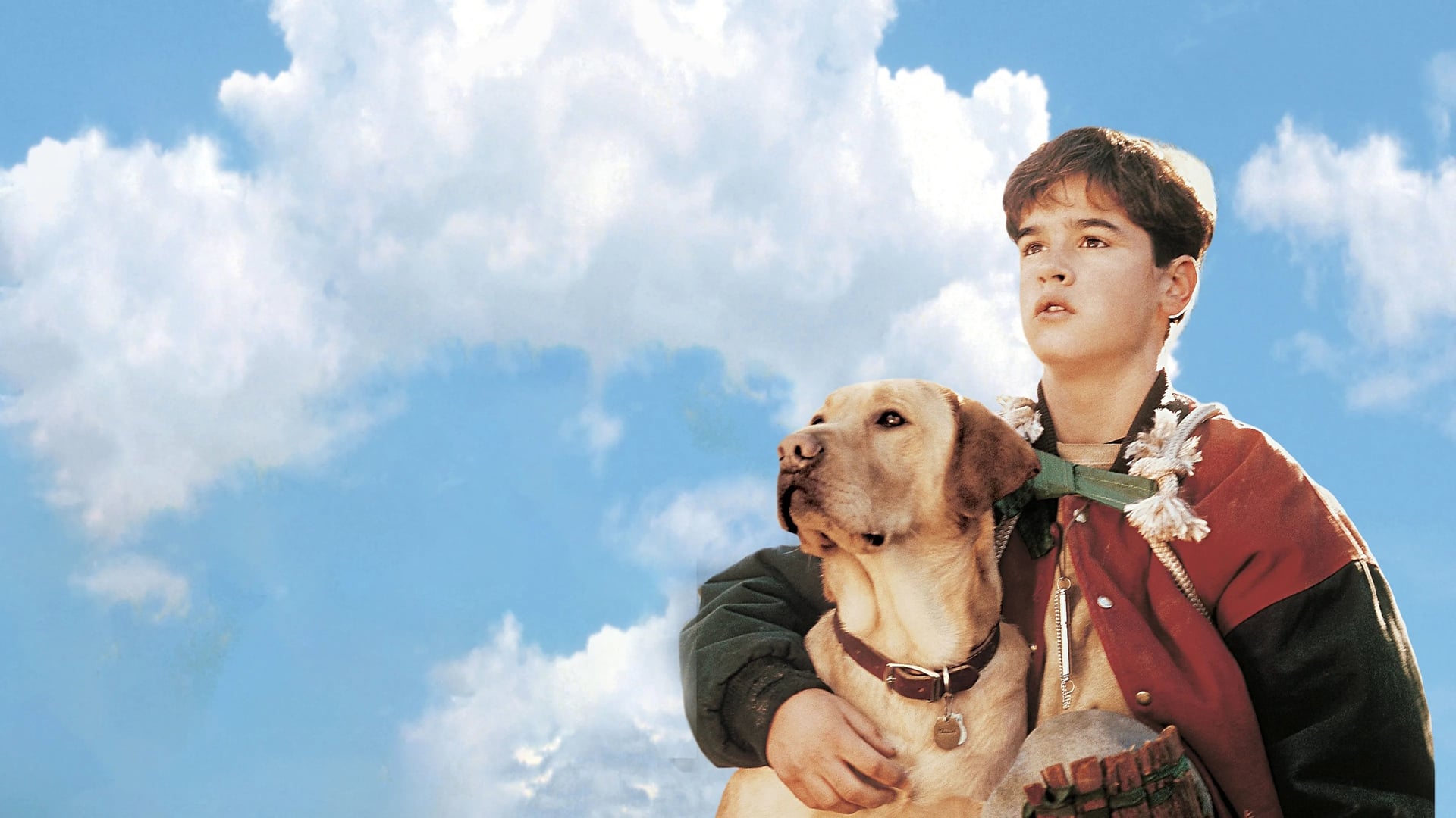 Foto do filme Amigos para Sempre
