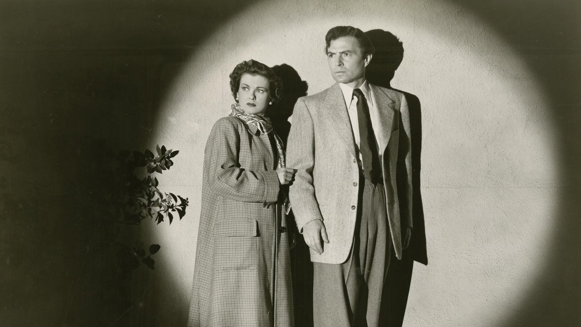 Foto do filme Na Teia do Destino