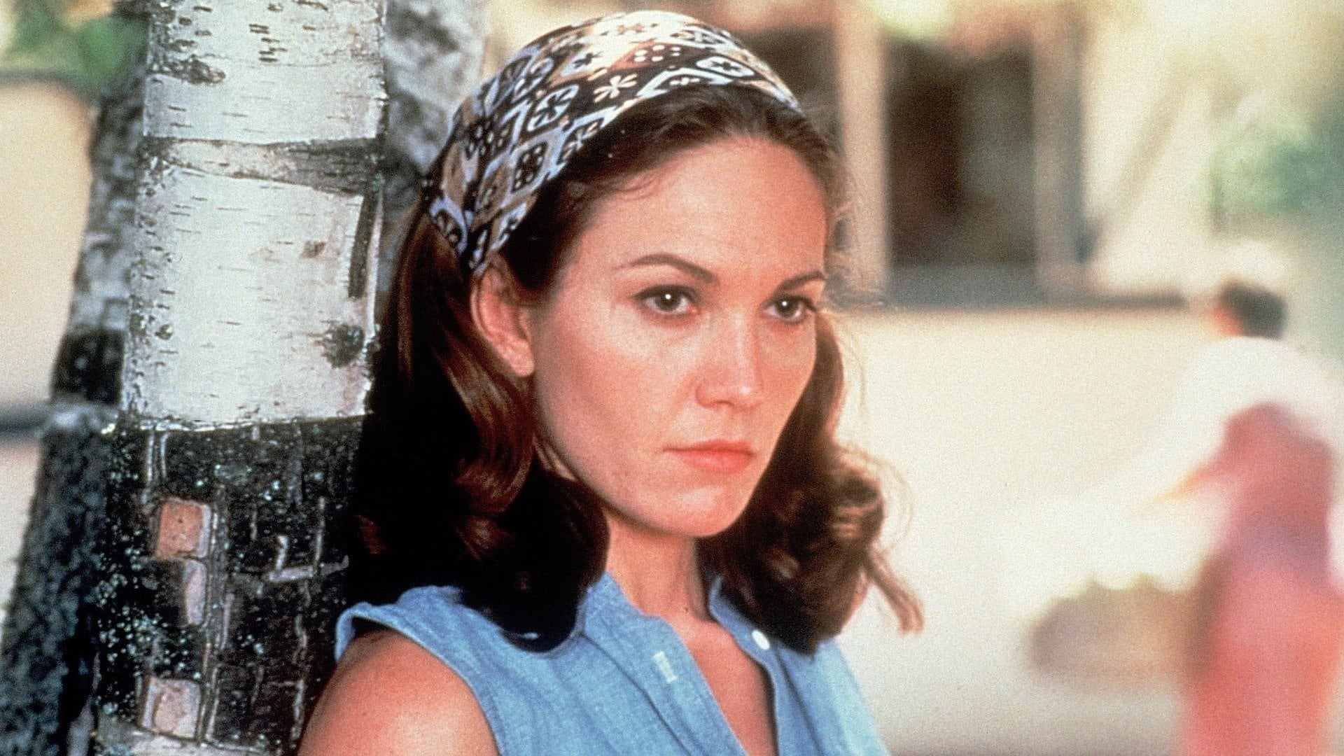 Foto do filme A Walk on the Moon