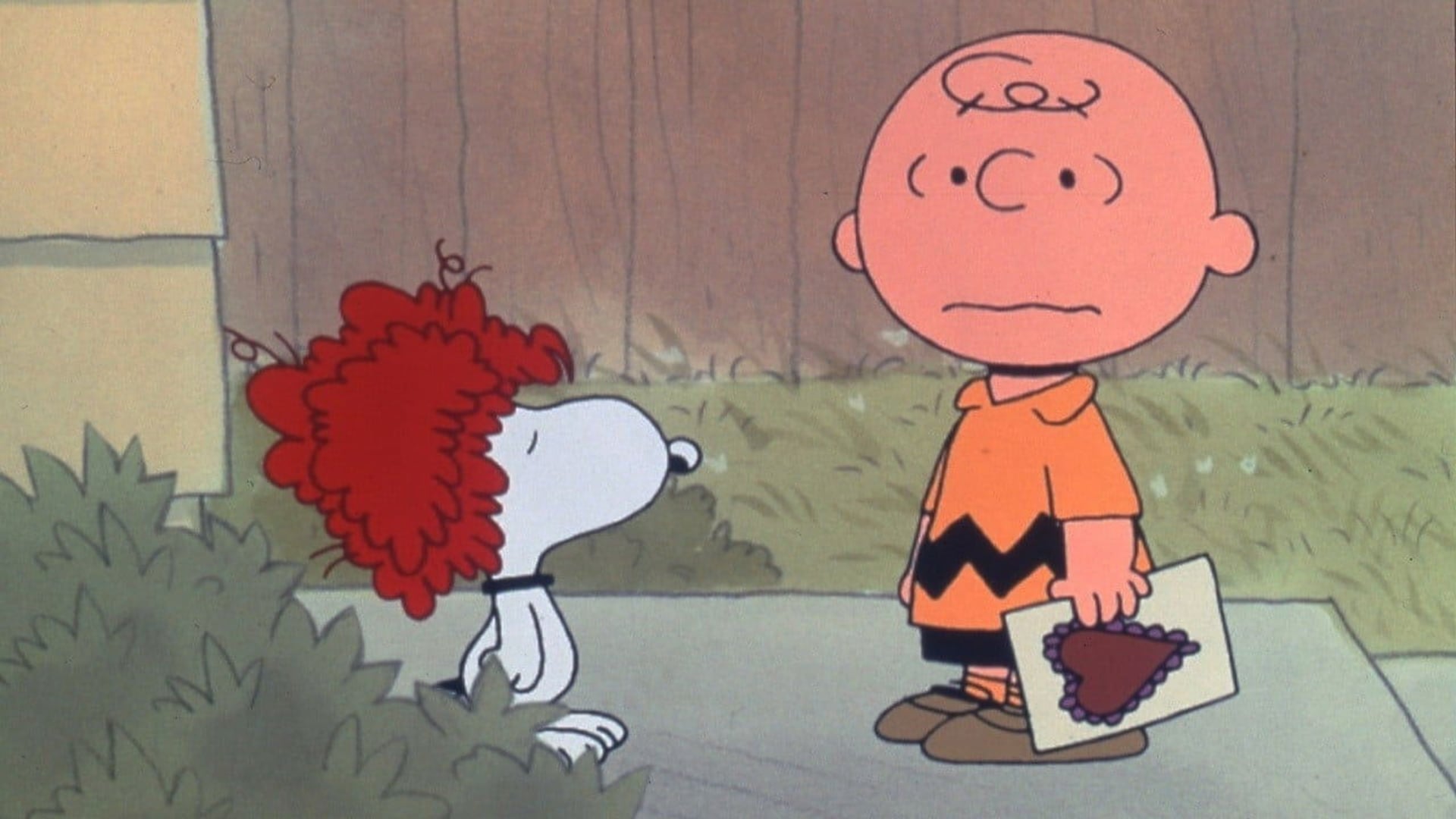 Foto do filme Charlie Brown E O Dia Dos Namorados