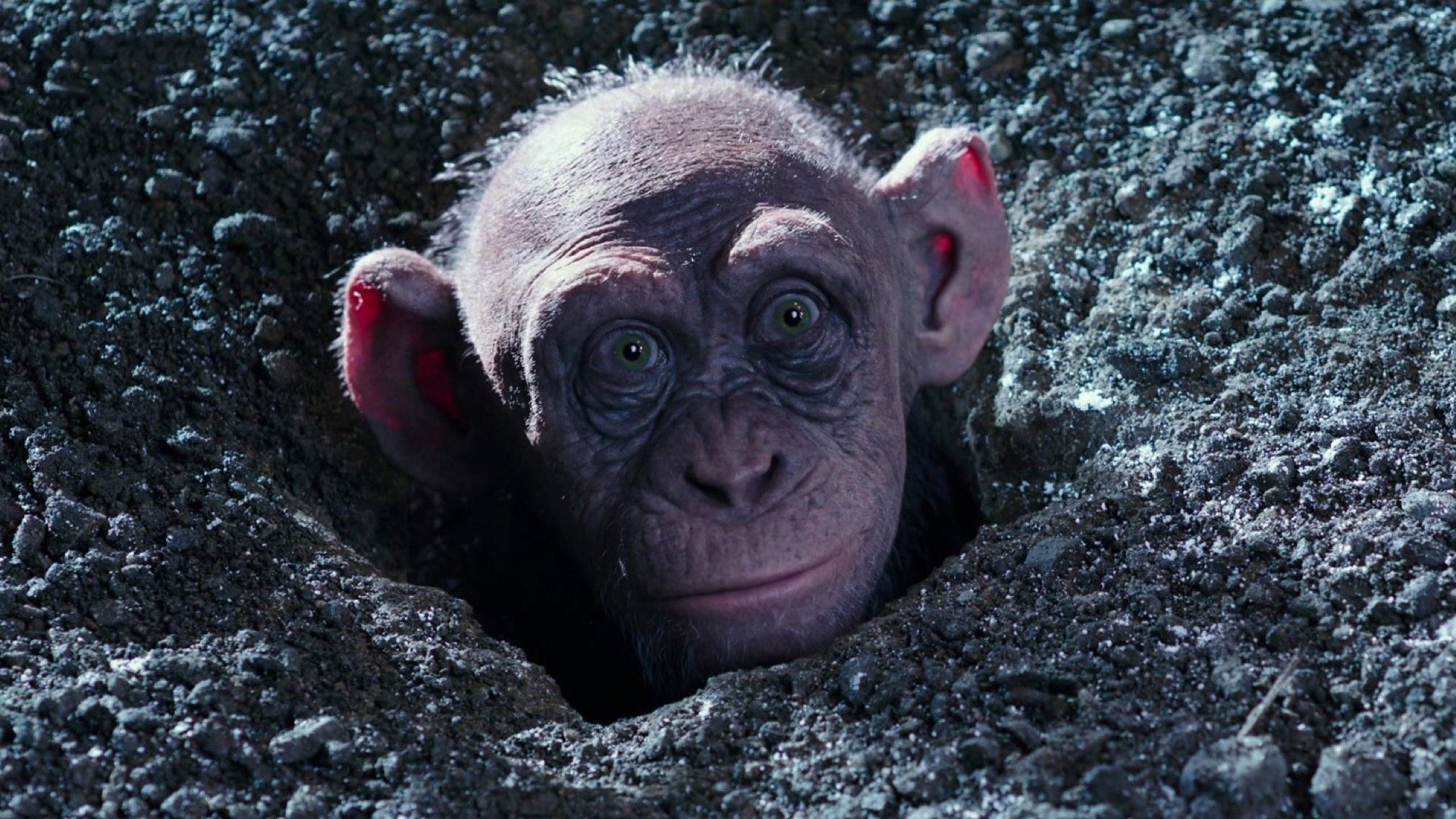 Foto do filme Planeta dos Macacos: A Guerra