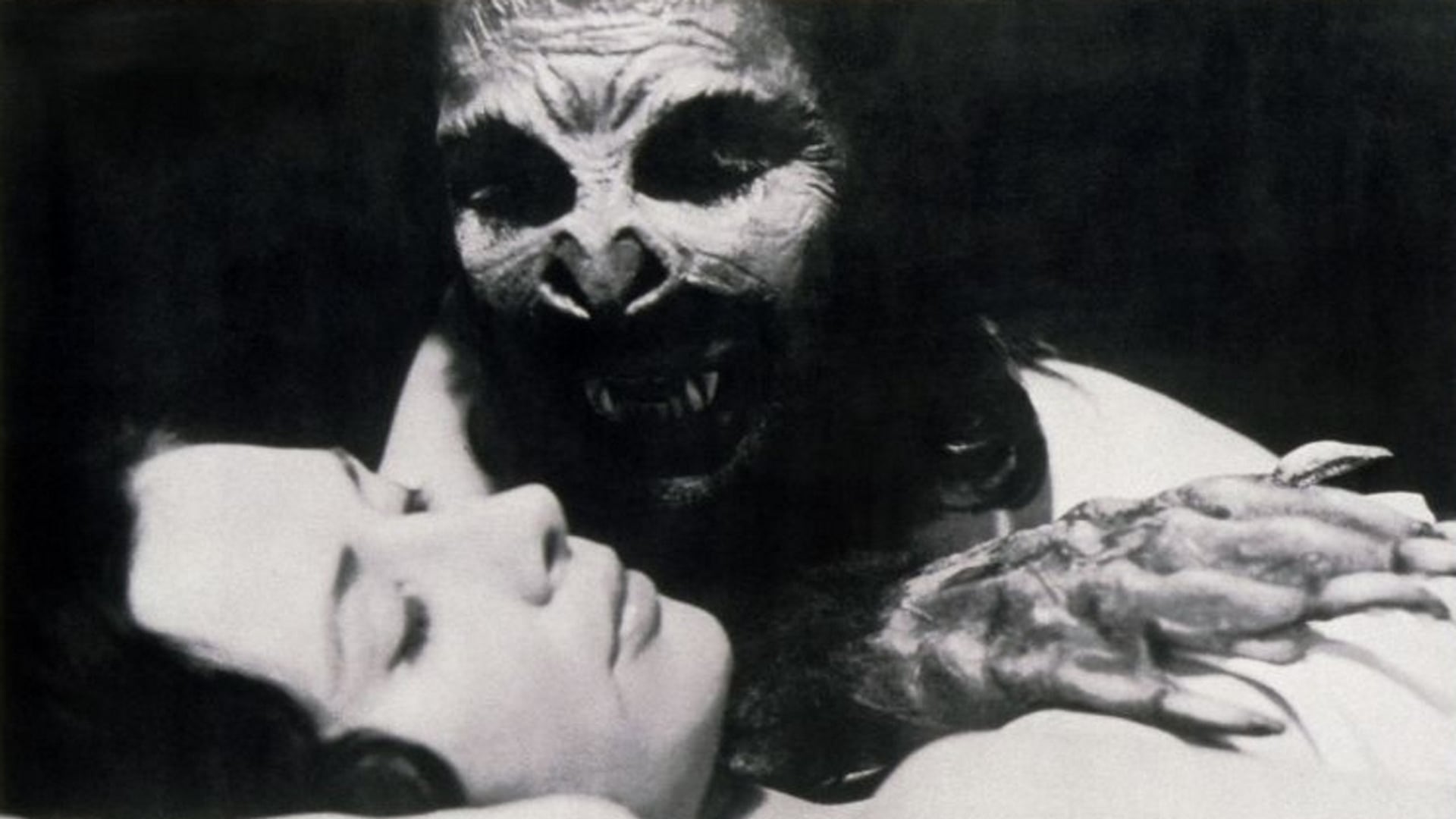 Foto do filme The Bat People