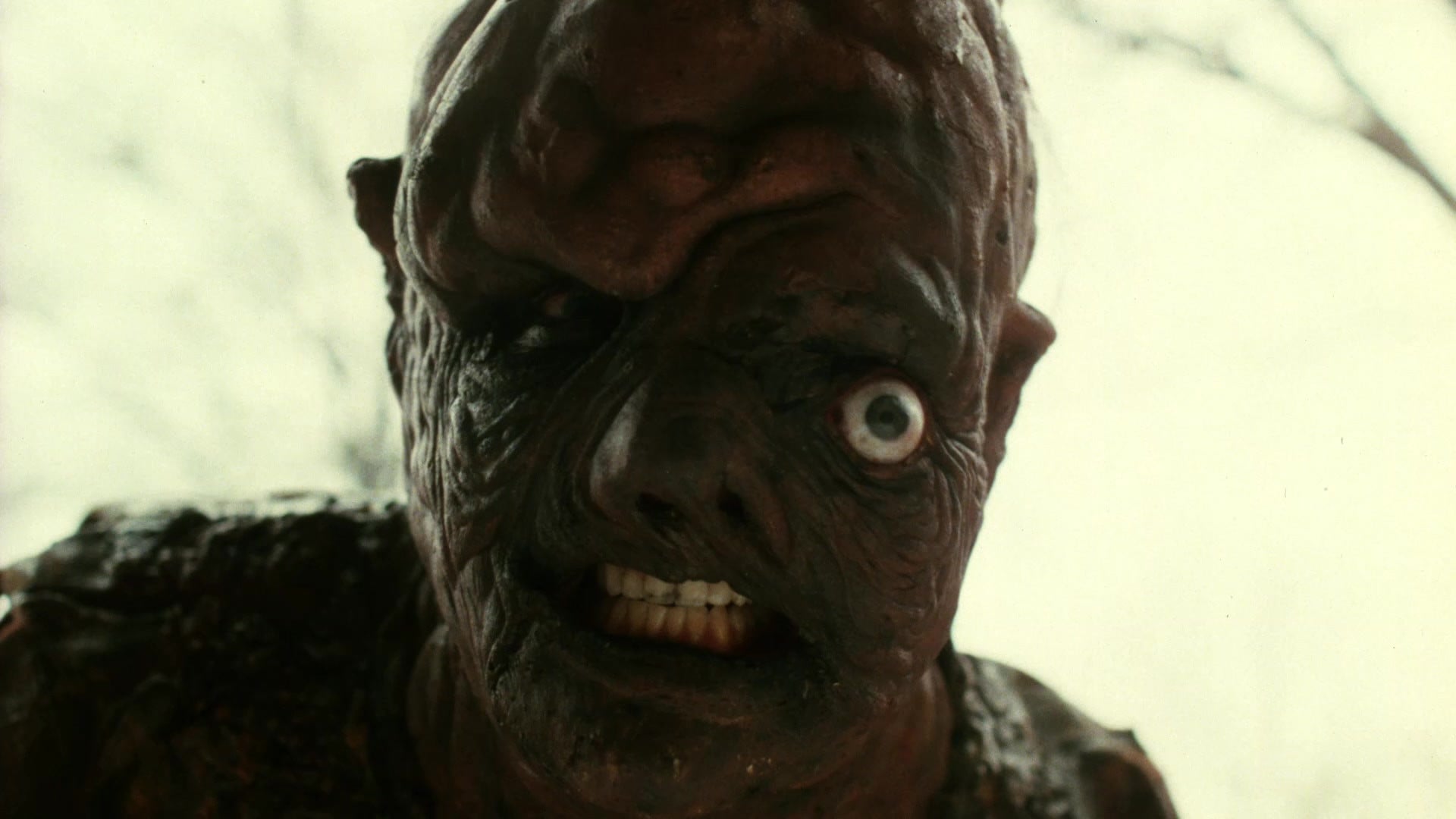 Foto do filme O Vingador Tóxico 2