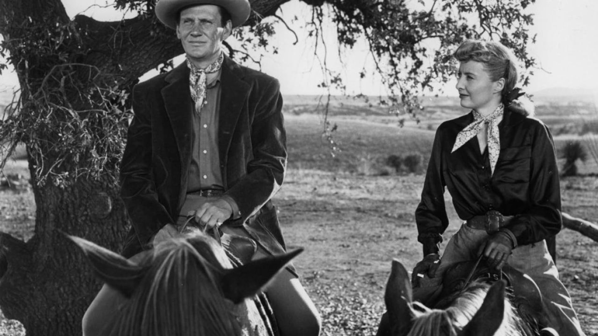 Foto do filme Almas em Fúria