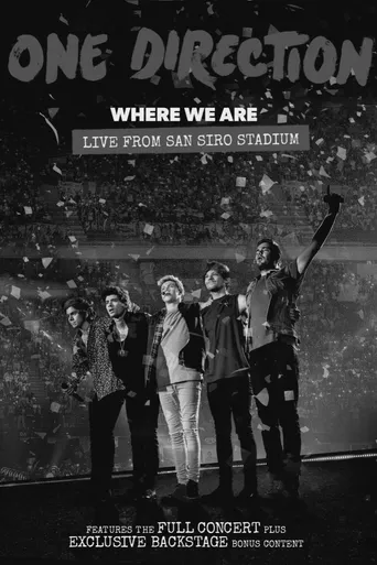 One Direction: Where We Are - The Concert Film