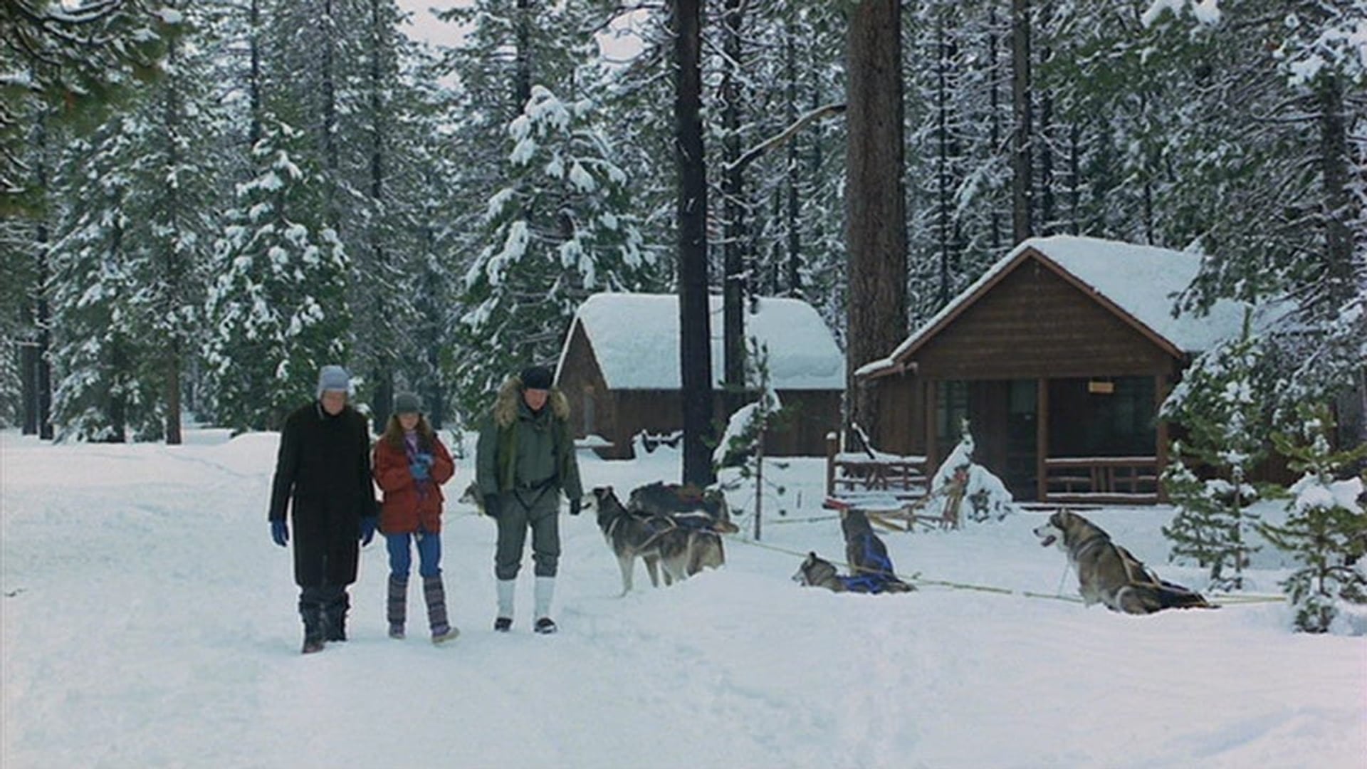 Foto do filme O Negócio é Sobreviver