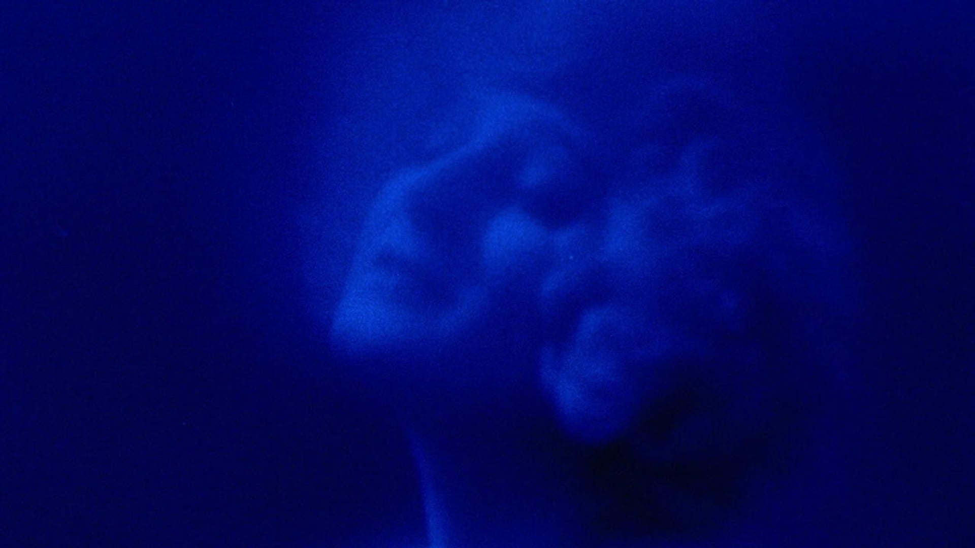 Foto do filme Fantasma