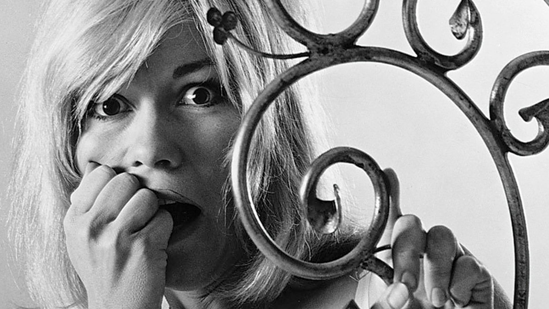 Foto do filme Demência 13