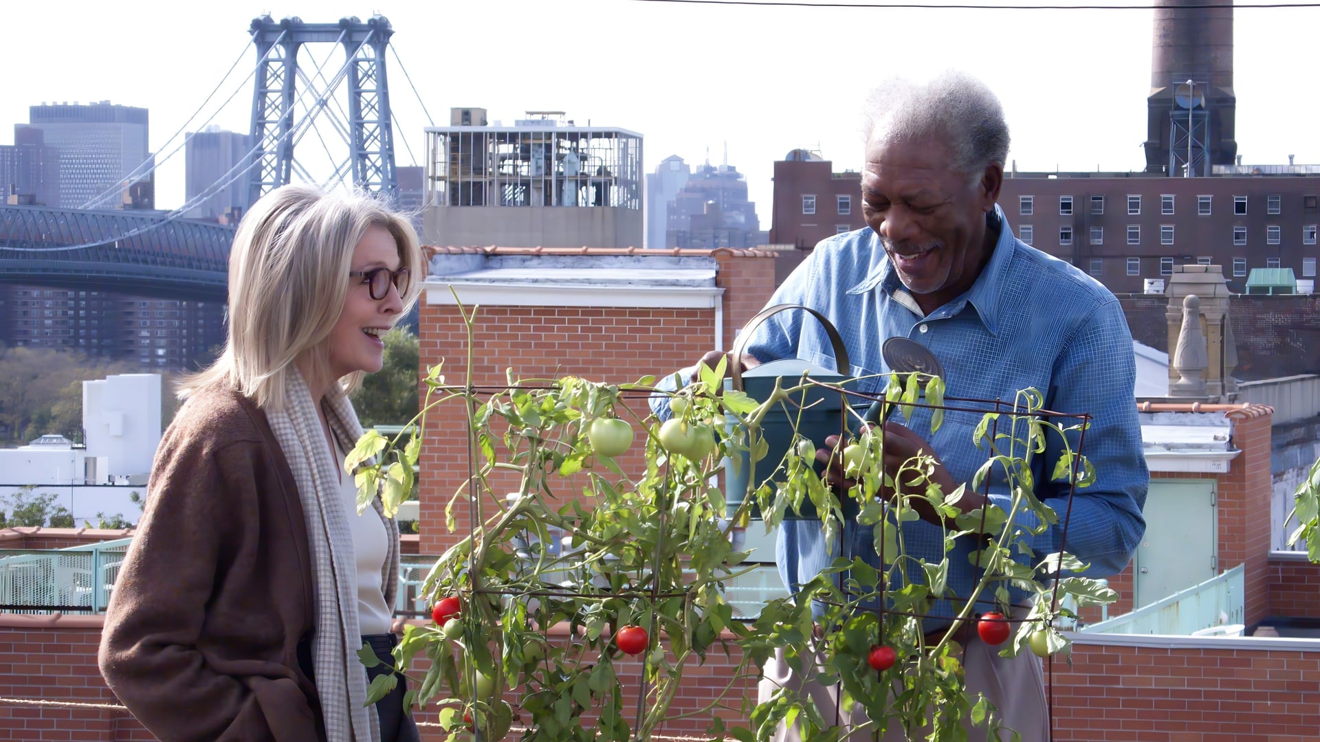 Foto do filme Ruth e Alex