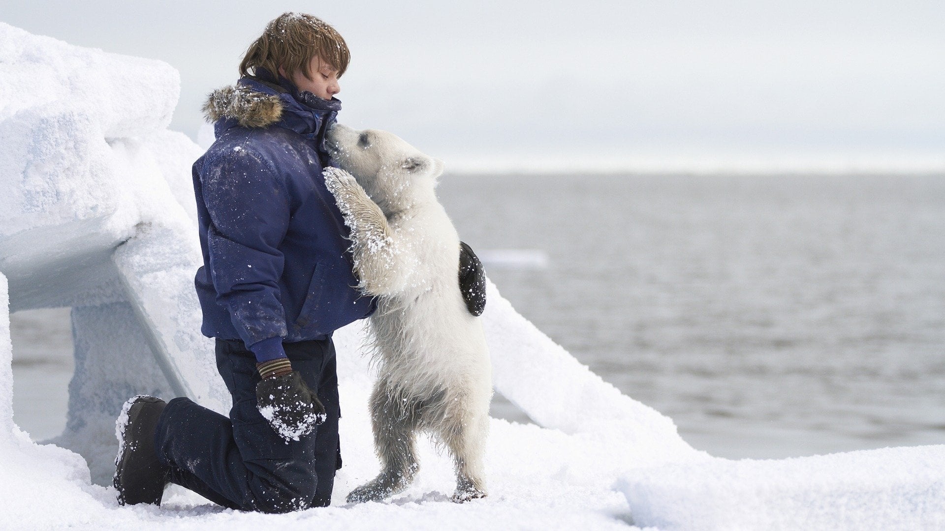 Foto do filme O Menino e o Urso