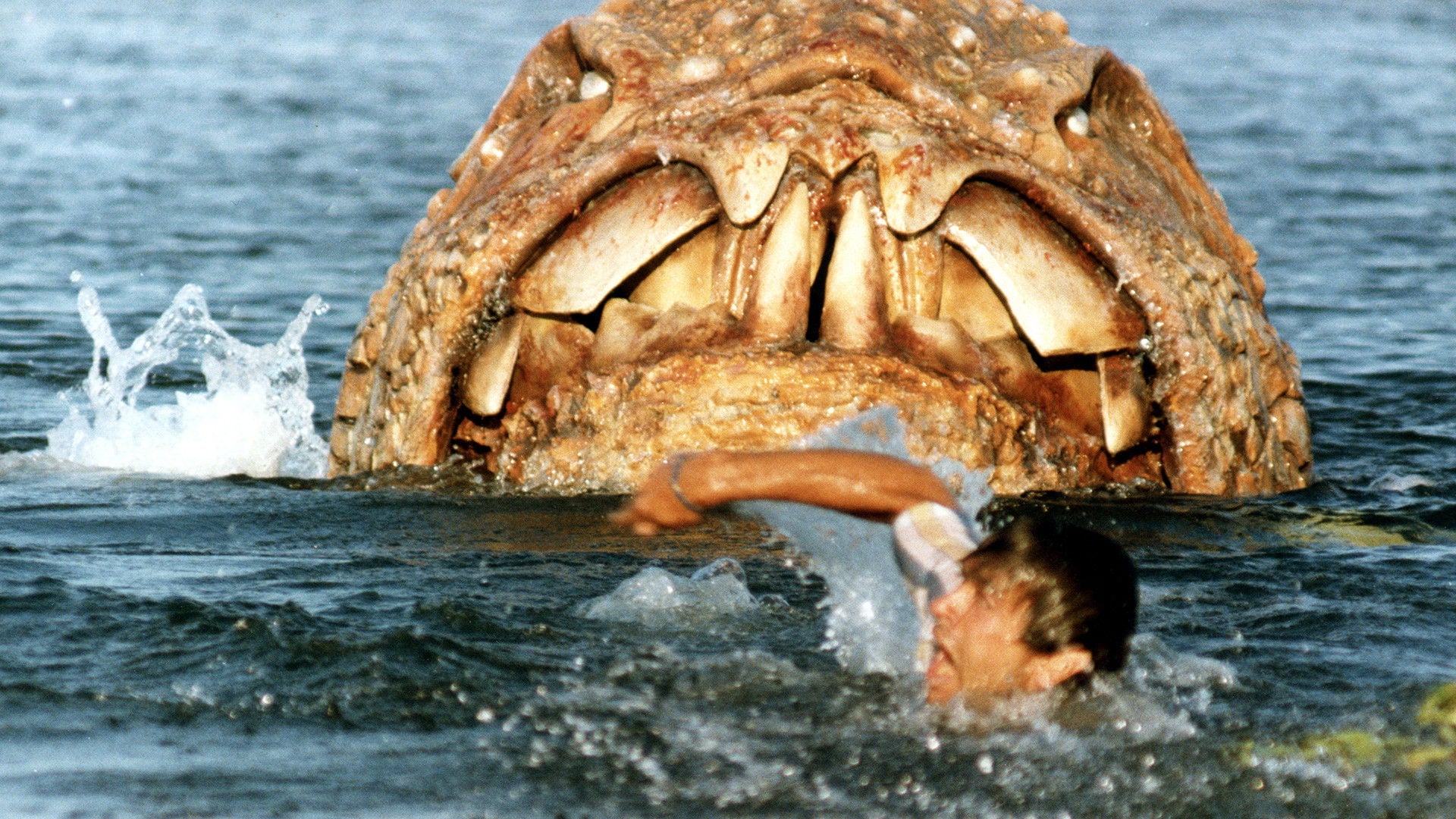 Foto do filme Shark - Rosso nell'oceano