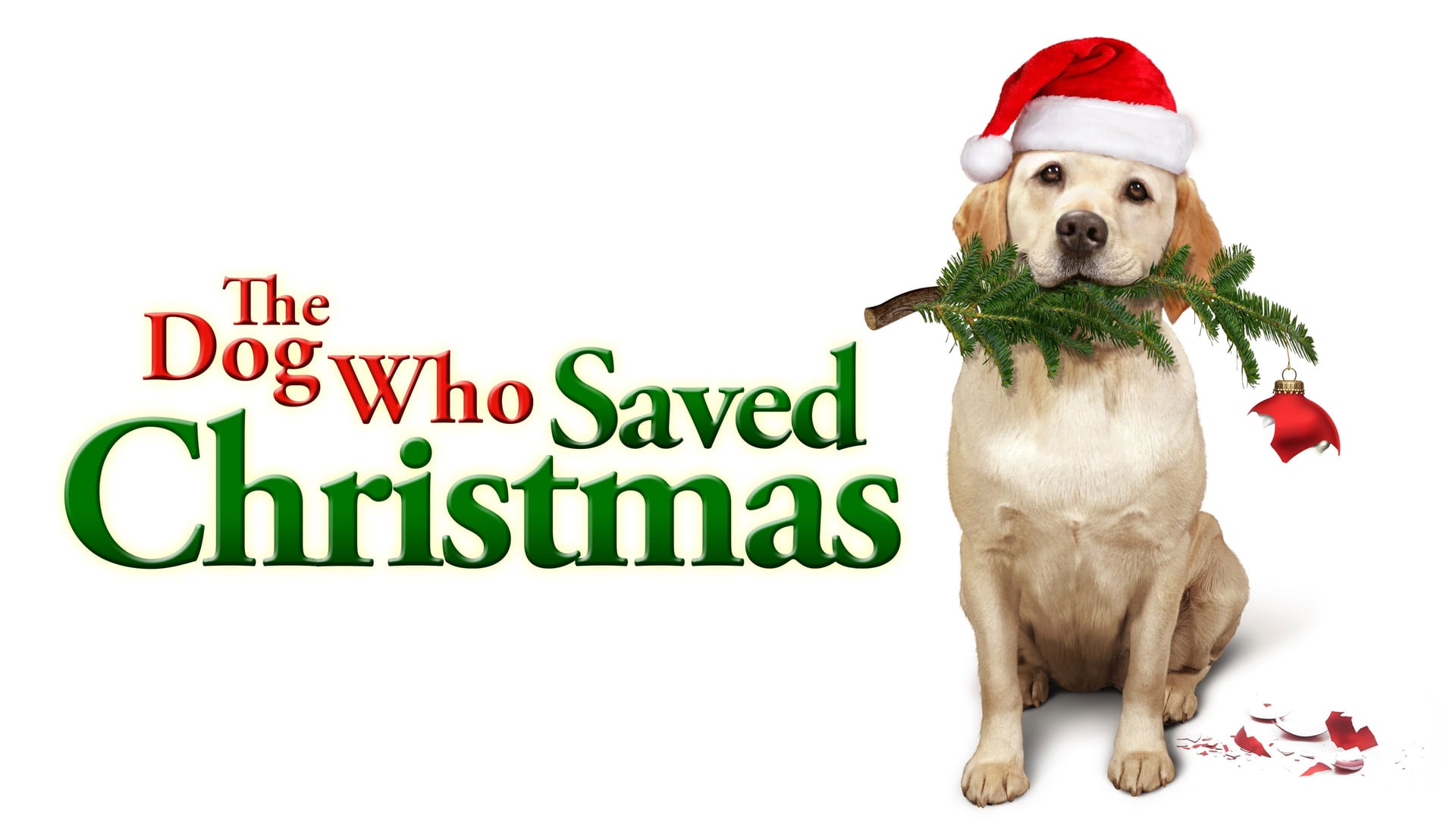 Foto do filme The Dog Who Saved Christmas