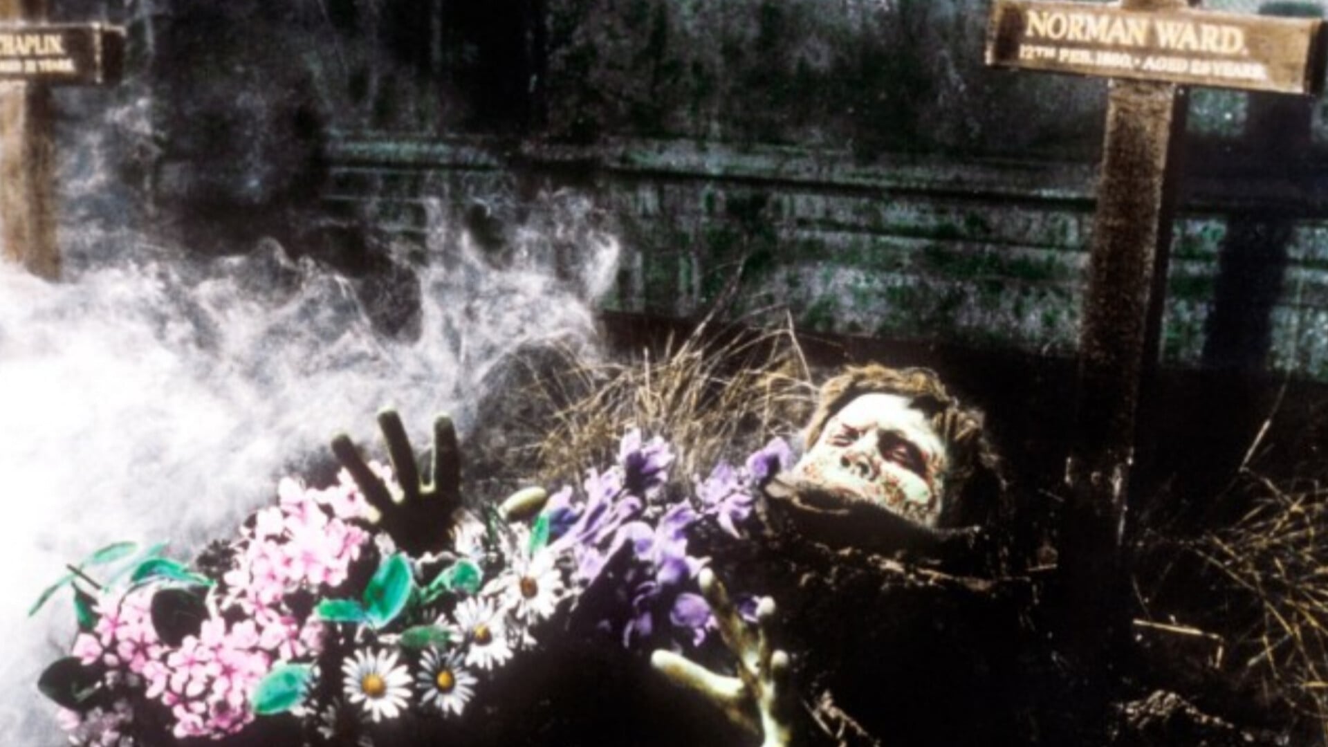Foto do filme The Plague of the Zombies