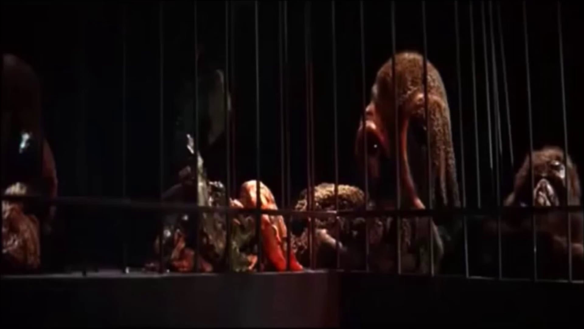 Foto do filme Morte Para um Monstro