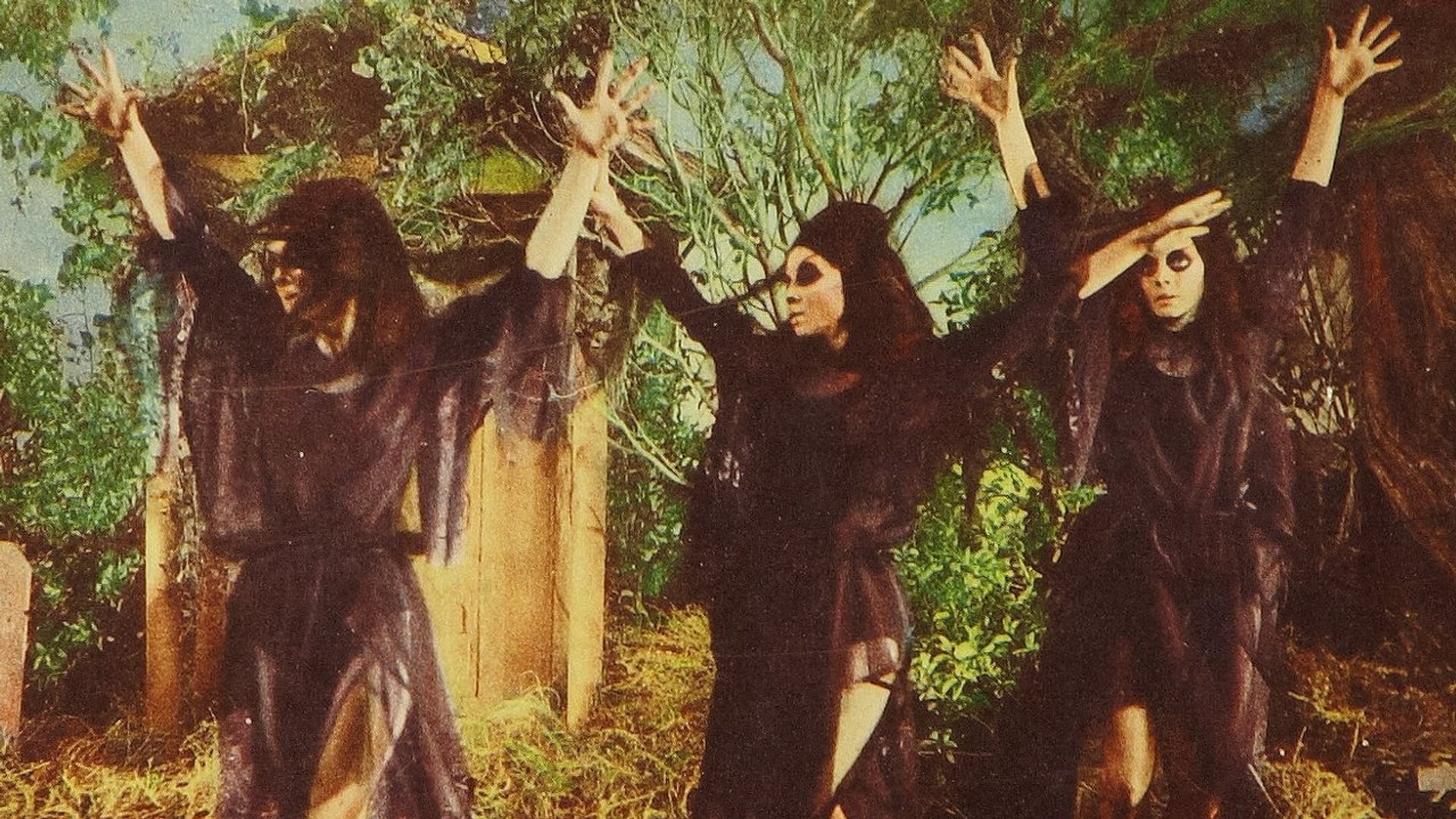 Foto do filme The Undead