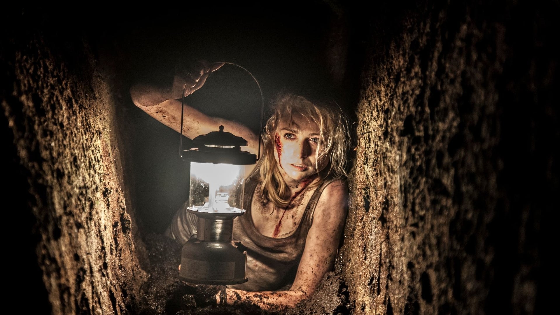 Foto do filme From the Dark