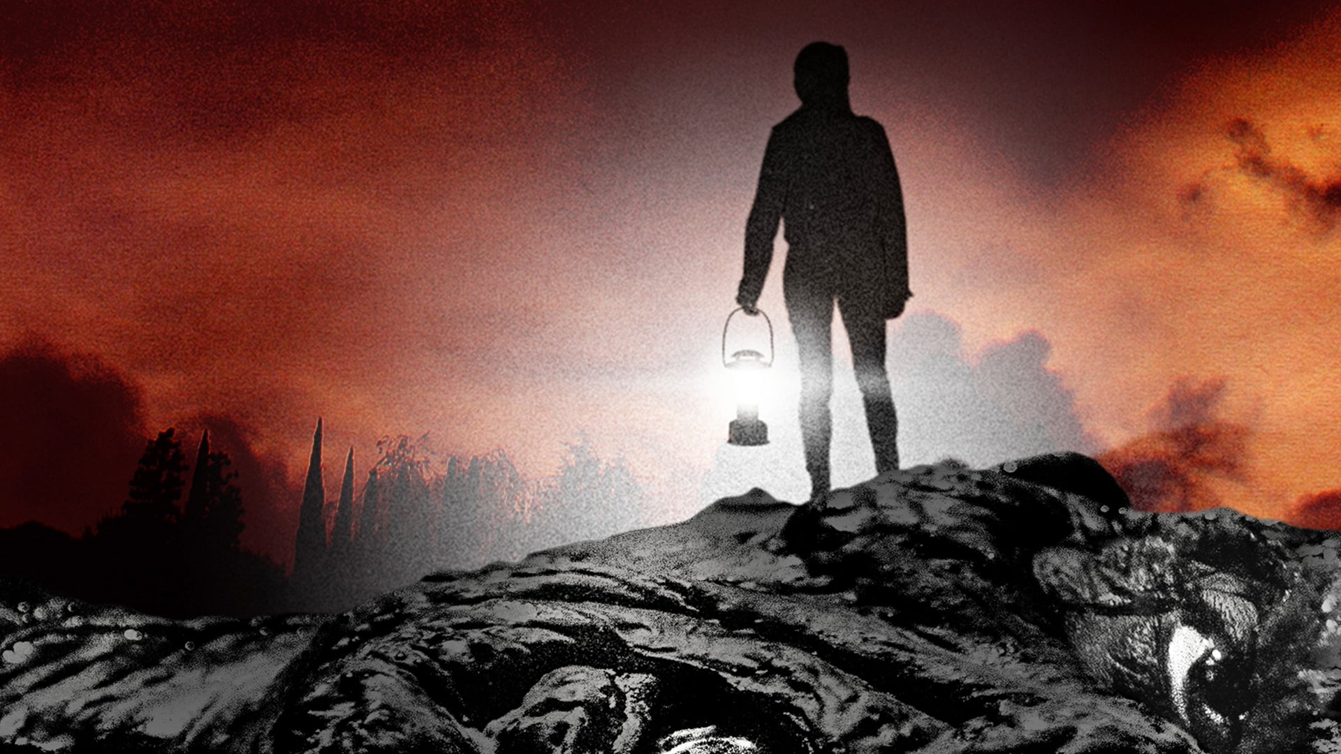 Foto do filme From the Dark