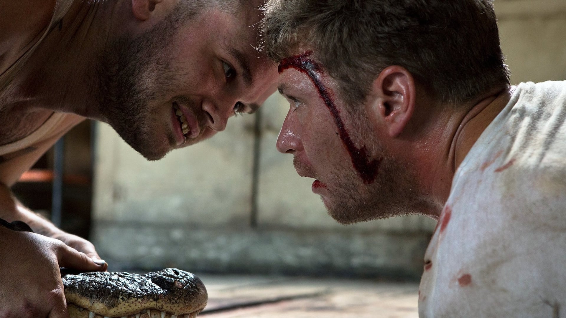 Foto do filme Sobrevivendo ao Inferno