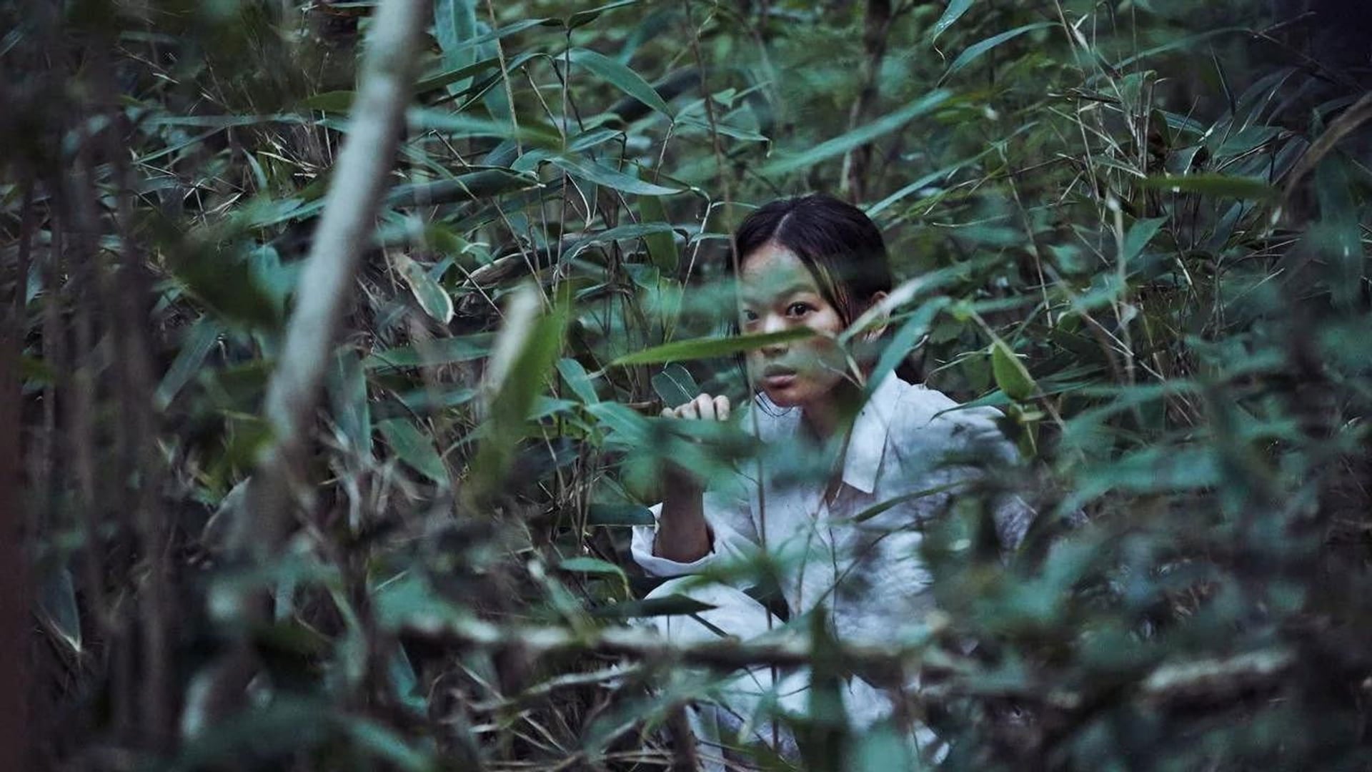 Foto do filme O Lamento