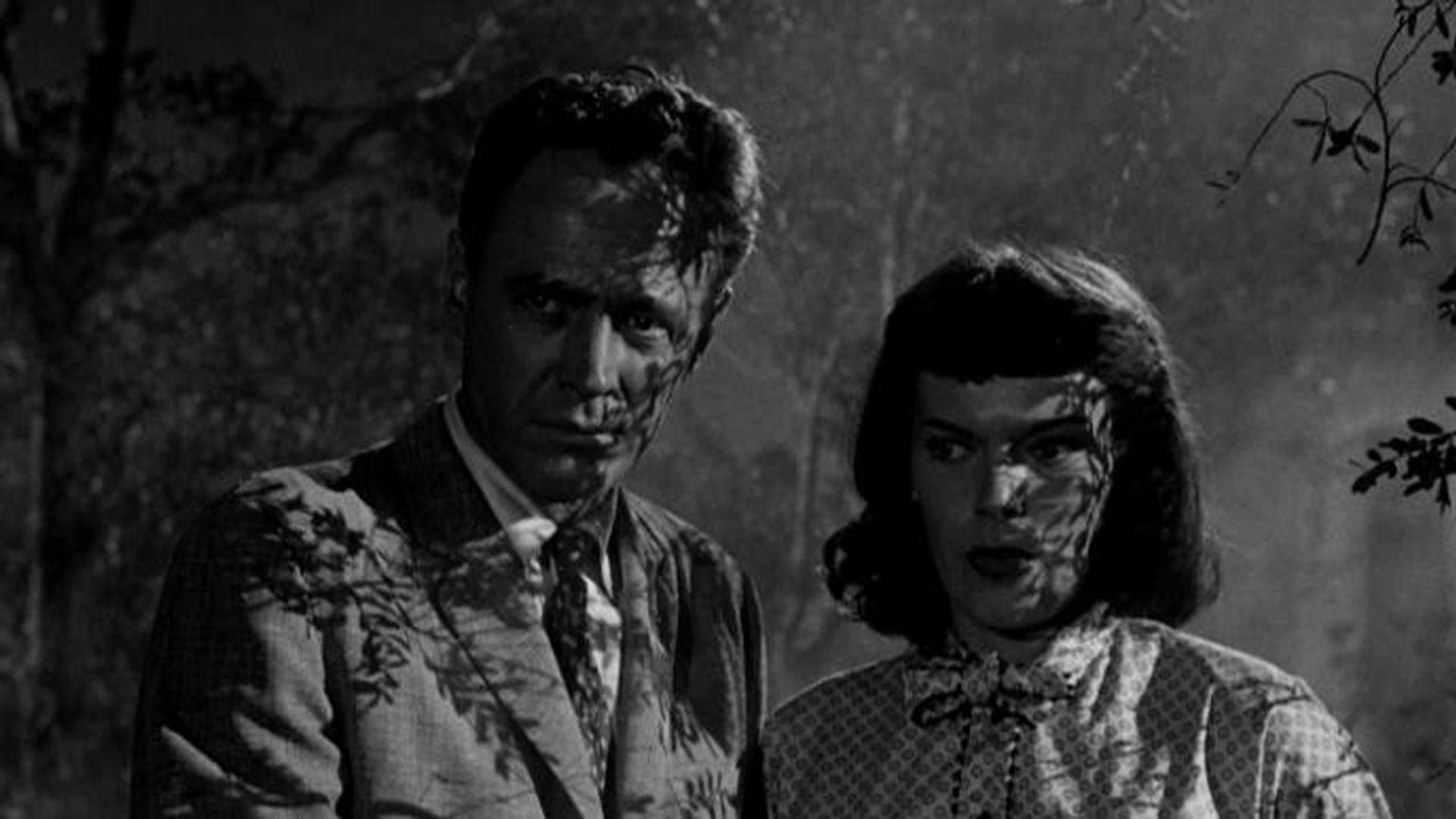 Foto do filme Macabre