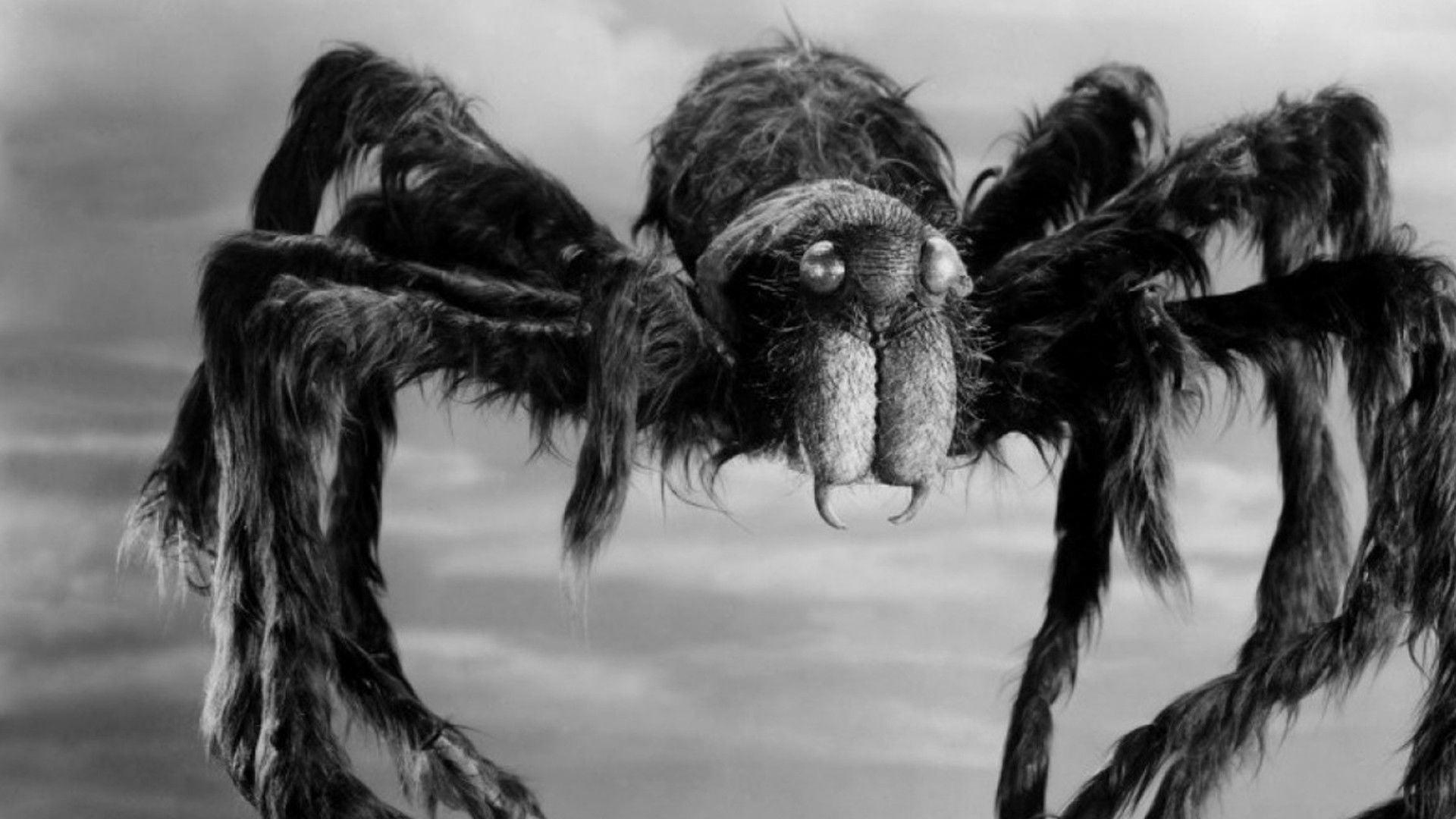 Foto do filme Macabre