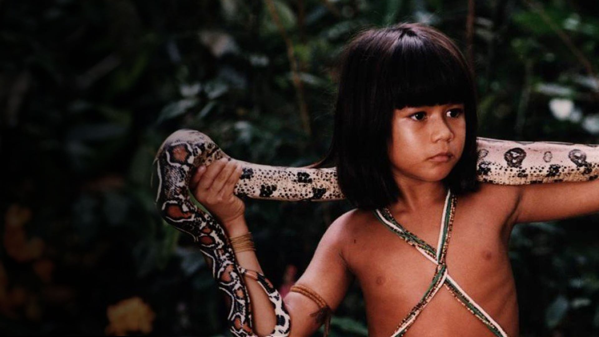Foto do filme Tainá: Uma Aventura na Amazônia