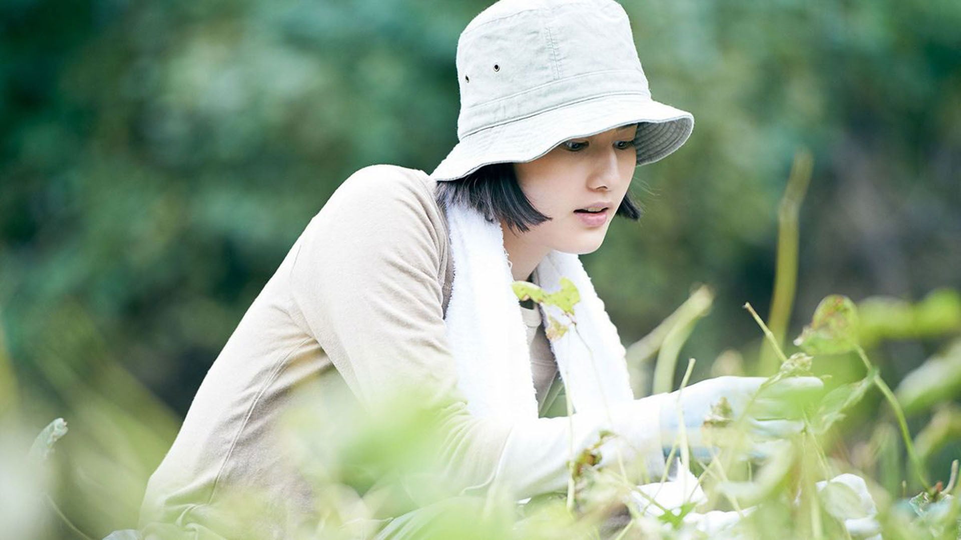 Foto do filme Pequena Floresta: Verão/Outono