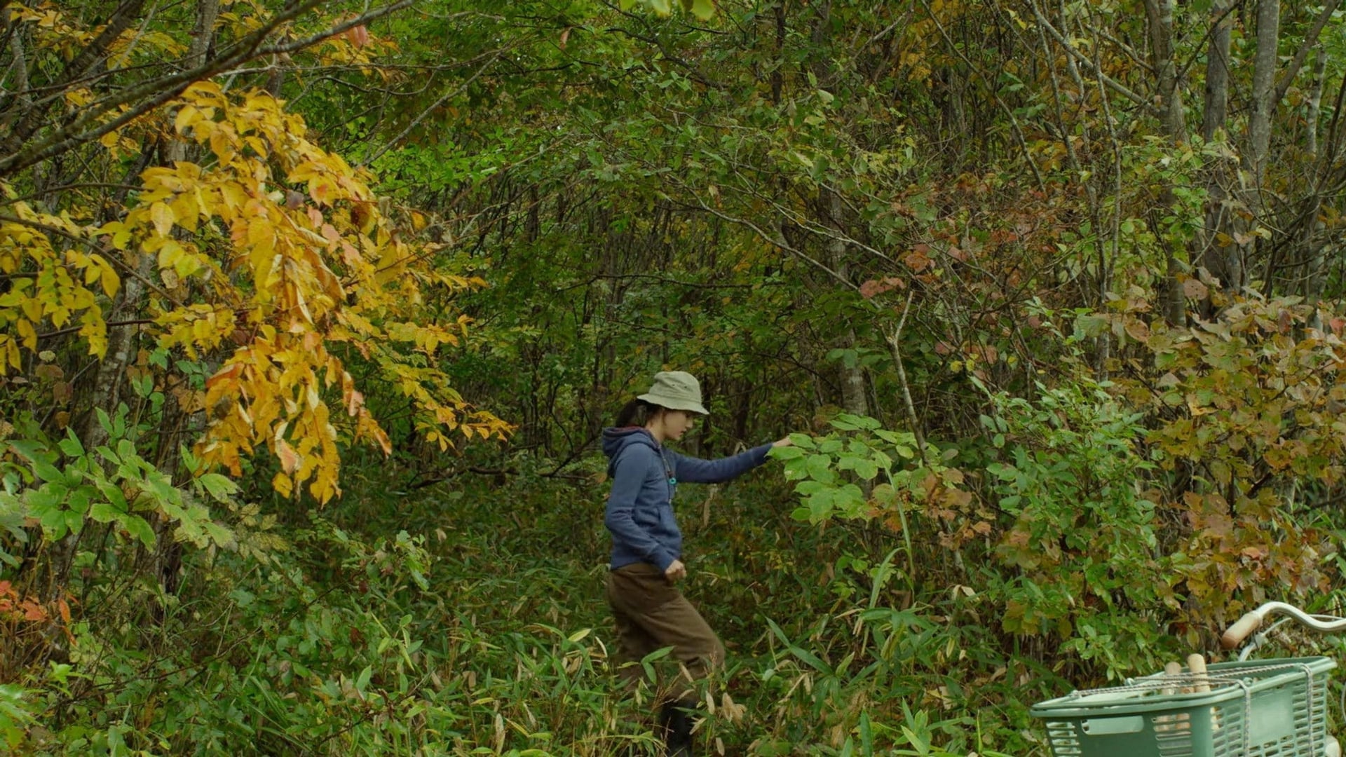 Foto do filme Pequena Floresta: Verão/Outono
