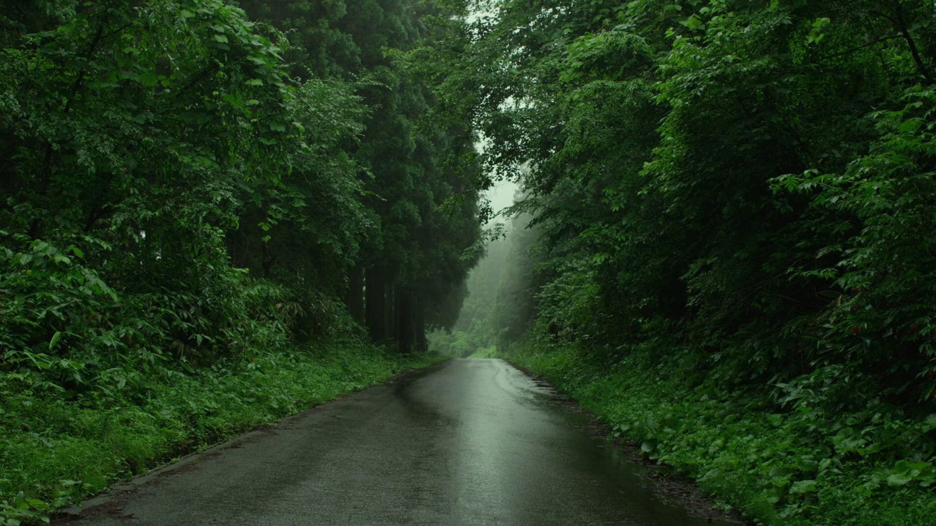 Foto do filme Pequena Floresta: Verão/Outono