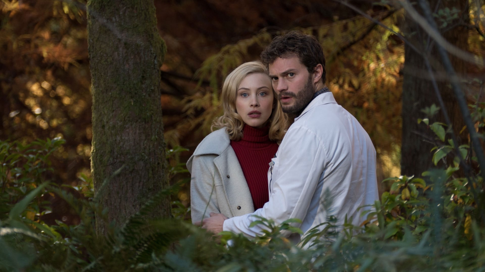 Foto do filme A Nona Vida de Louis Drax
