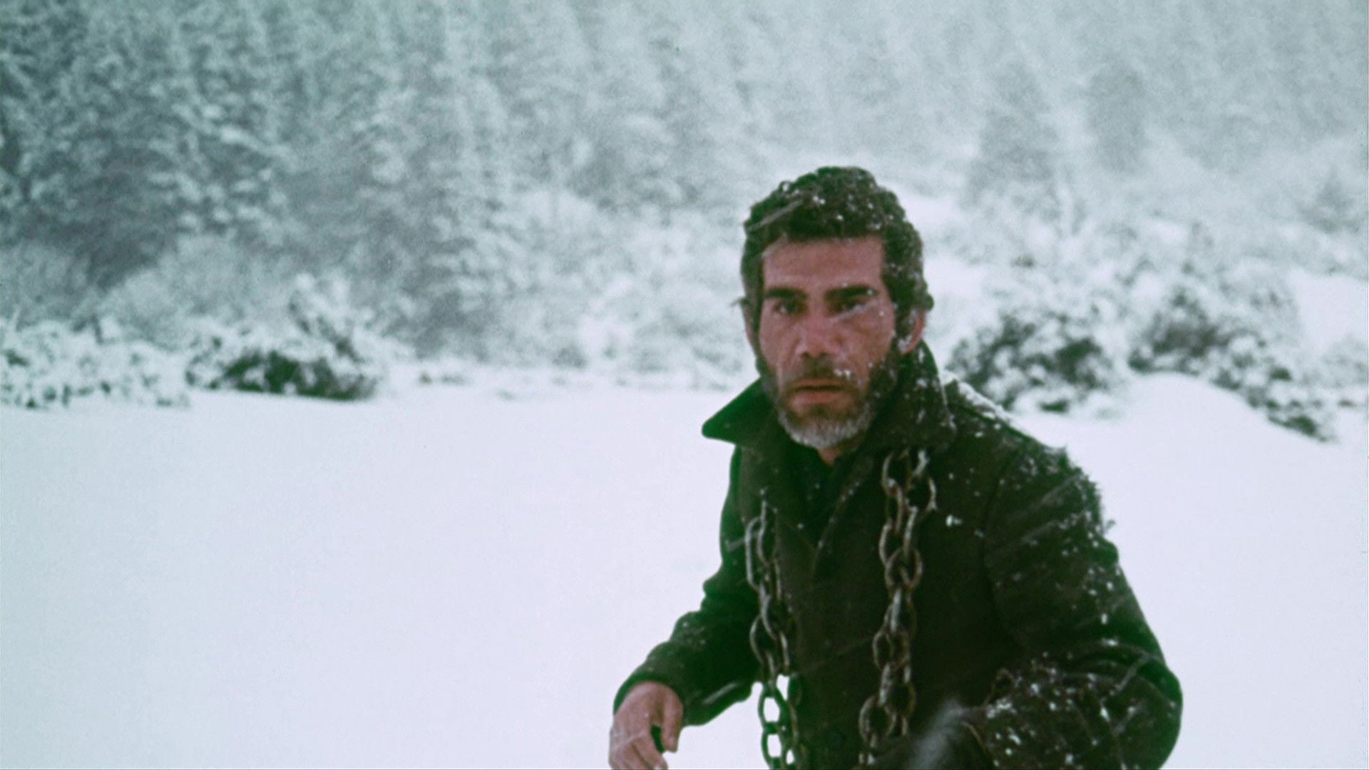 Foto do filme Condenados a Viver