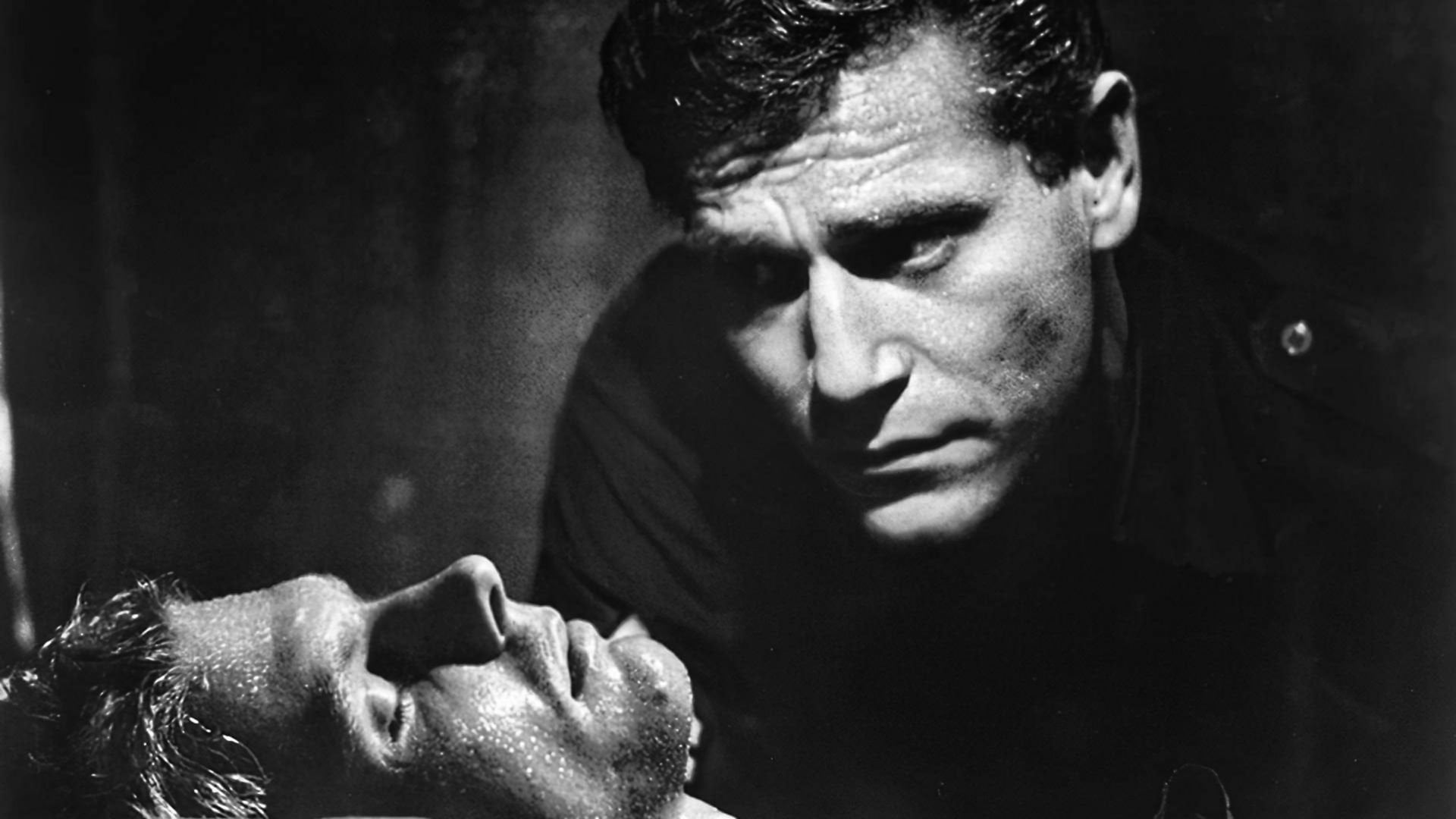 Foto do filme King Rat