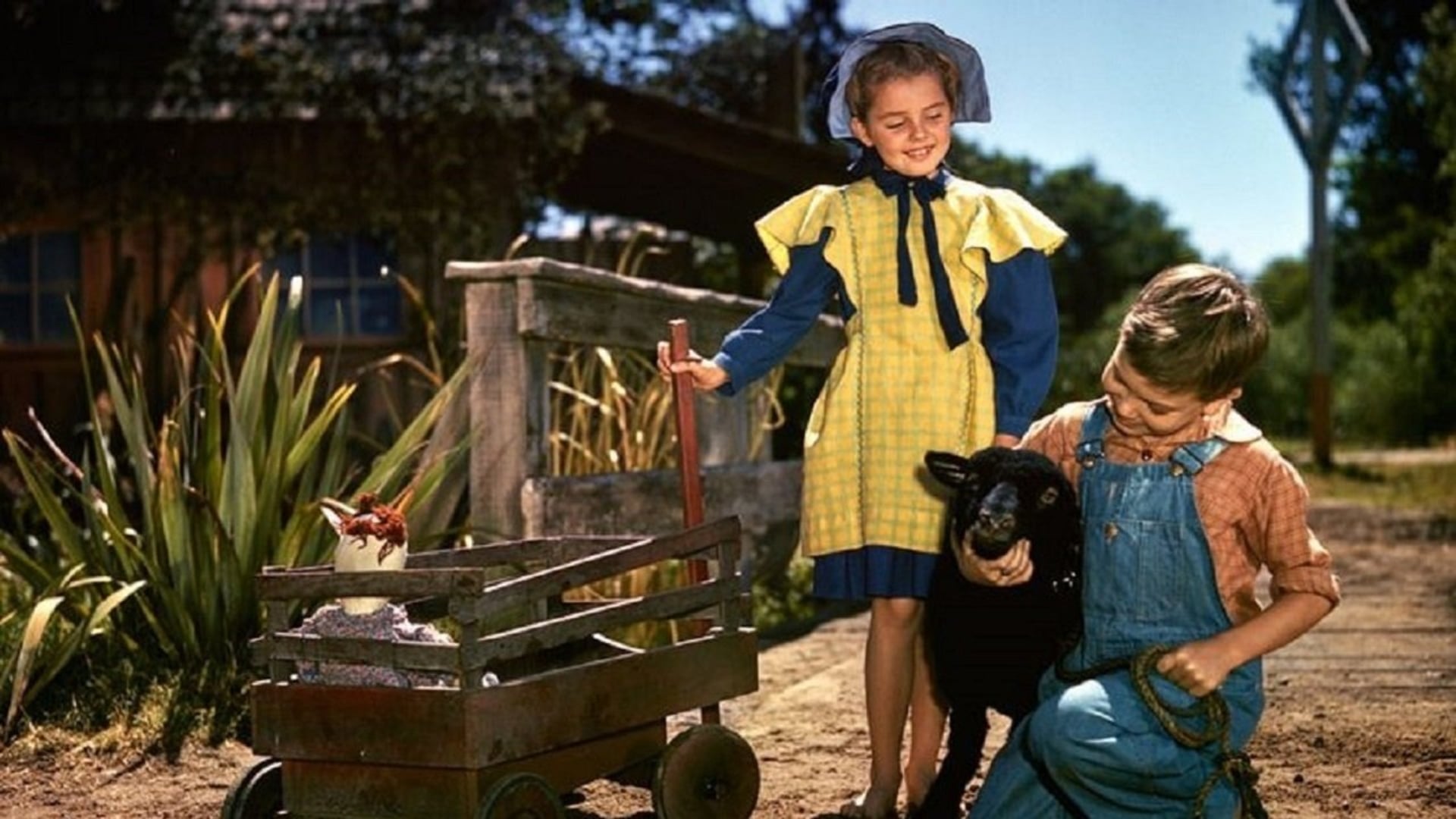 Foto do filme Meu Querido Carneirinho