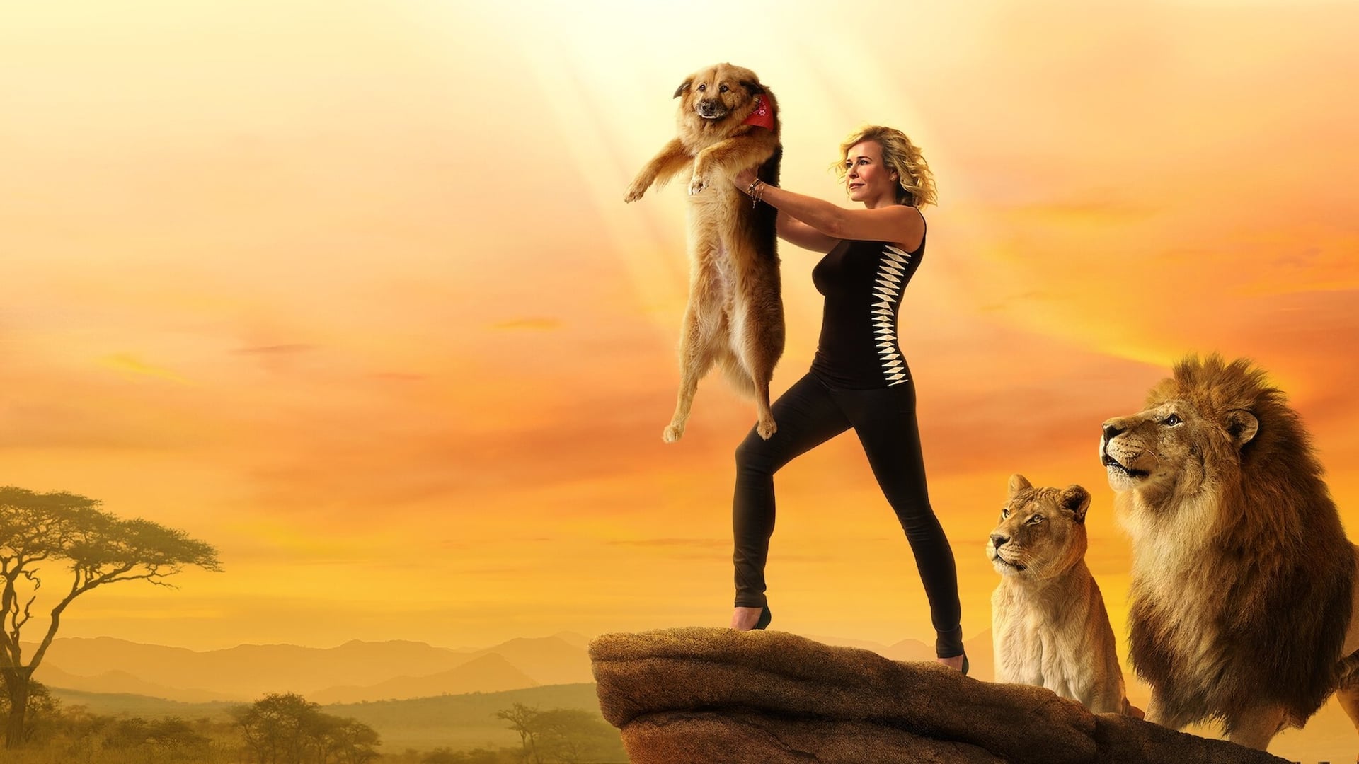 Foto do filme Chelsea Handler: Uganda Be Kidding Me Live