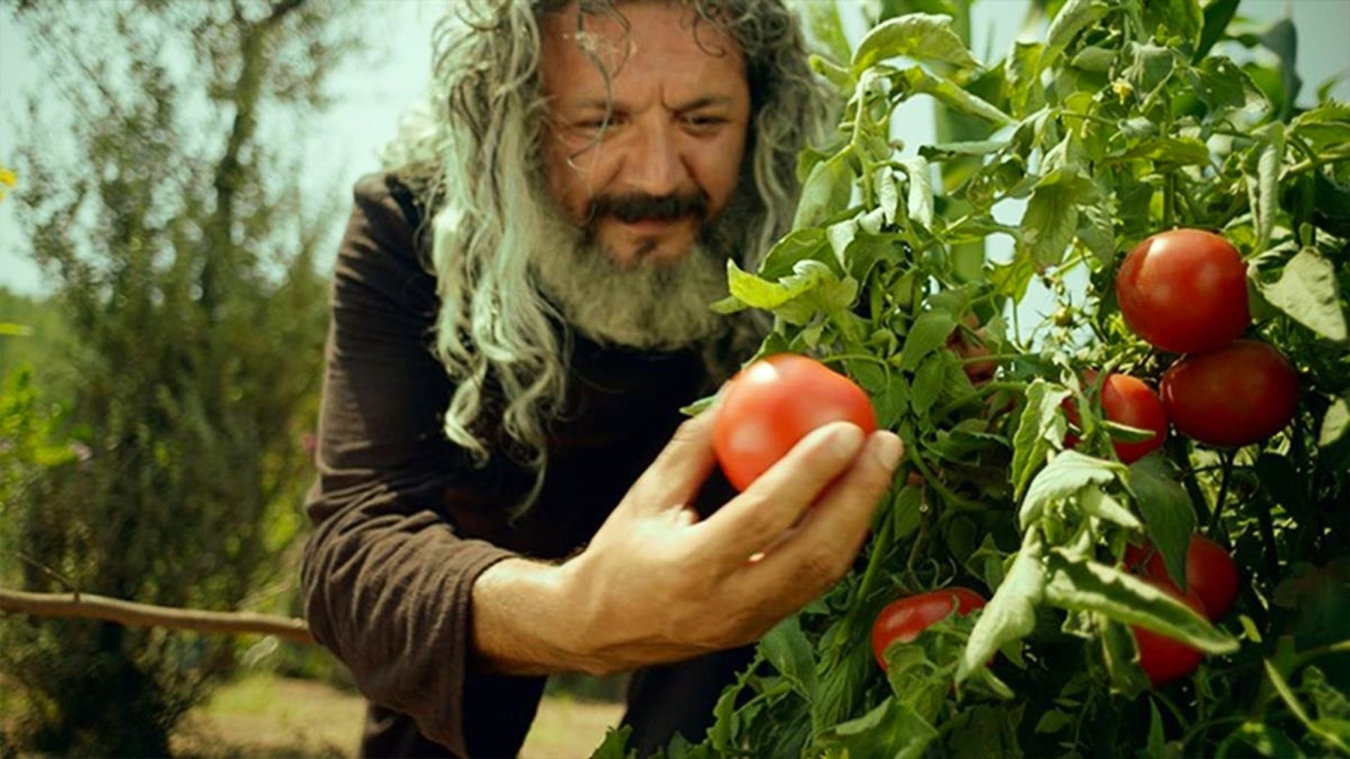 Foto do filme Mandıra Filozofu