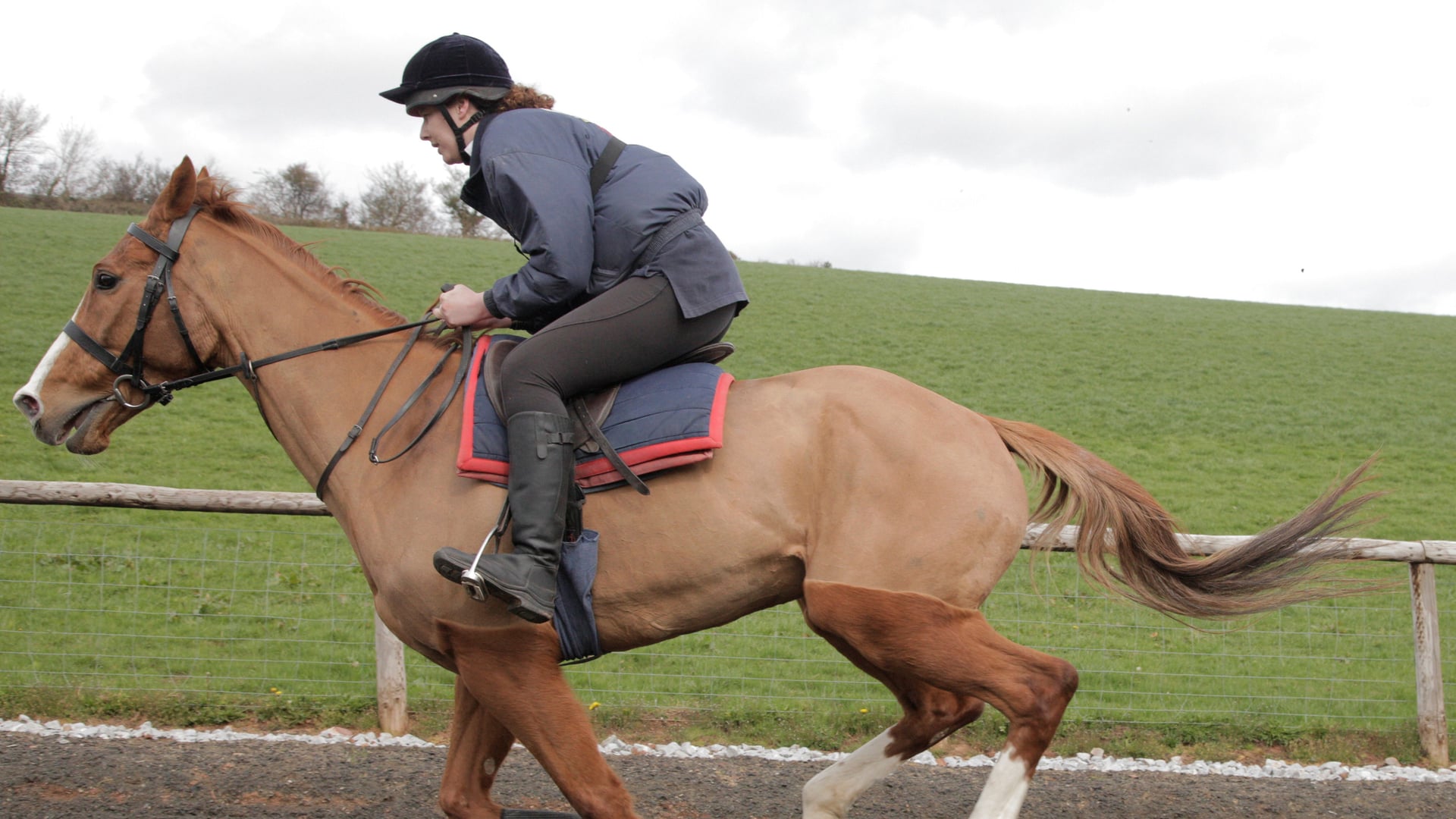 Foto do filme Dark Horse