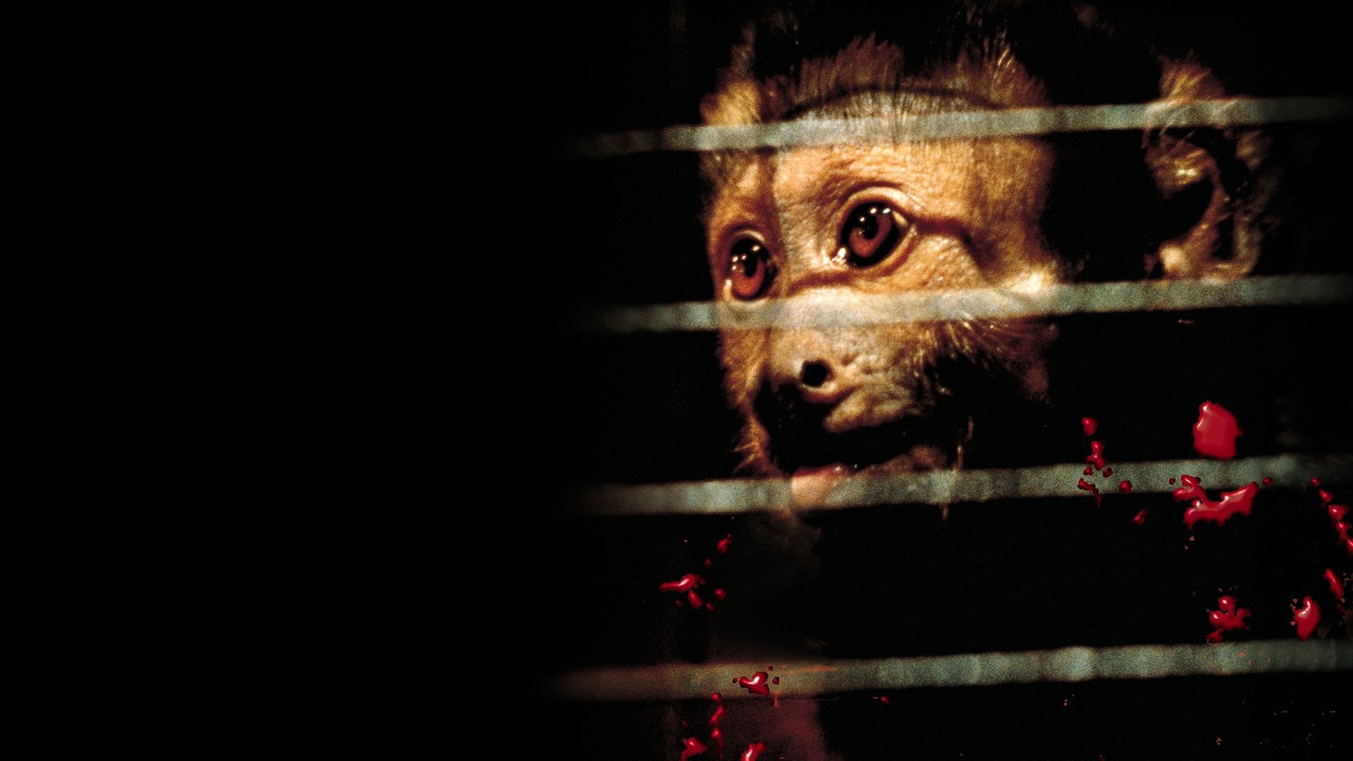 Foto do filme Instinto Fatal