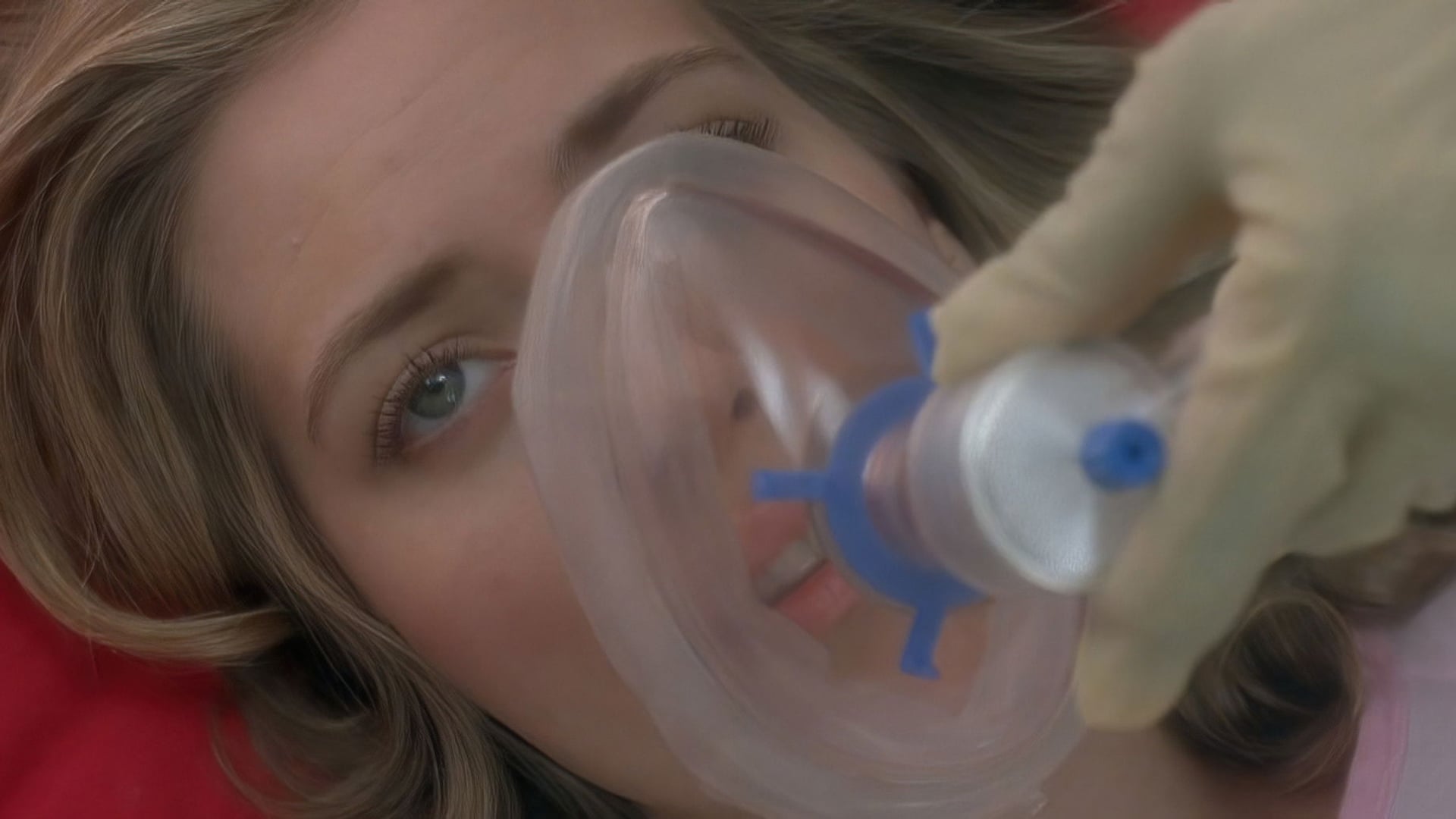 Foto do filme Armadilha do Terror