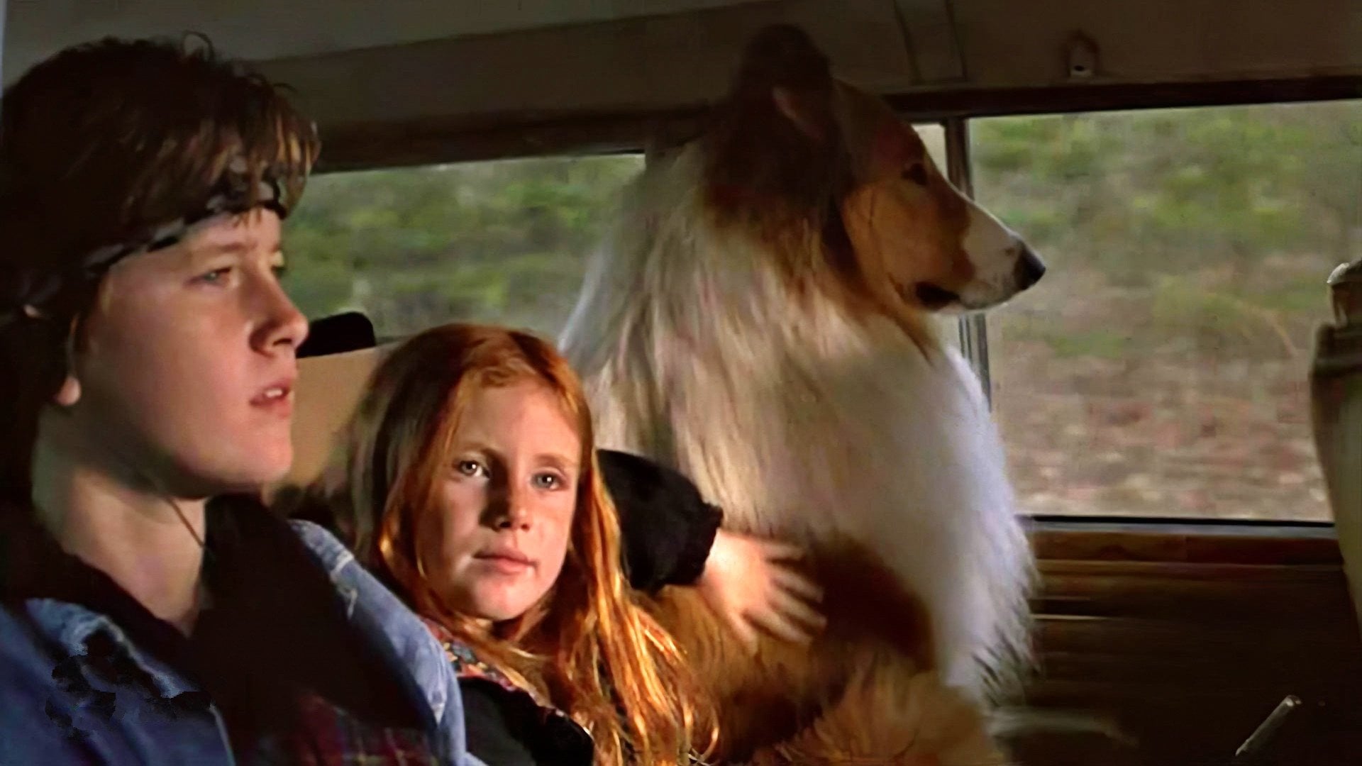 Foto do filme Lassie
